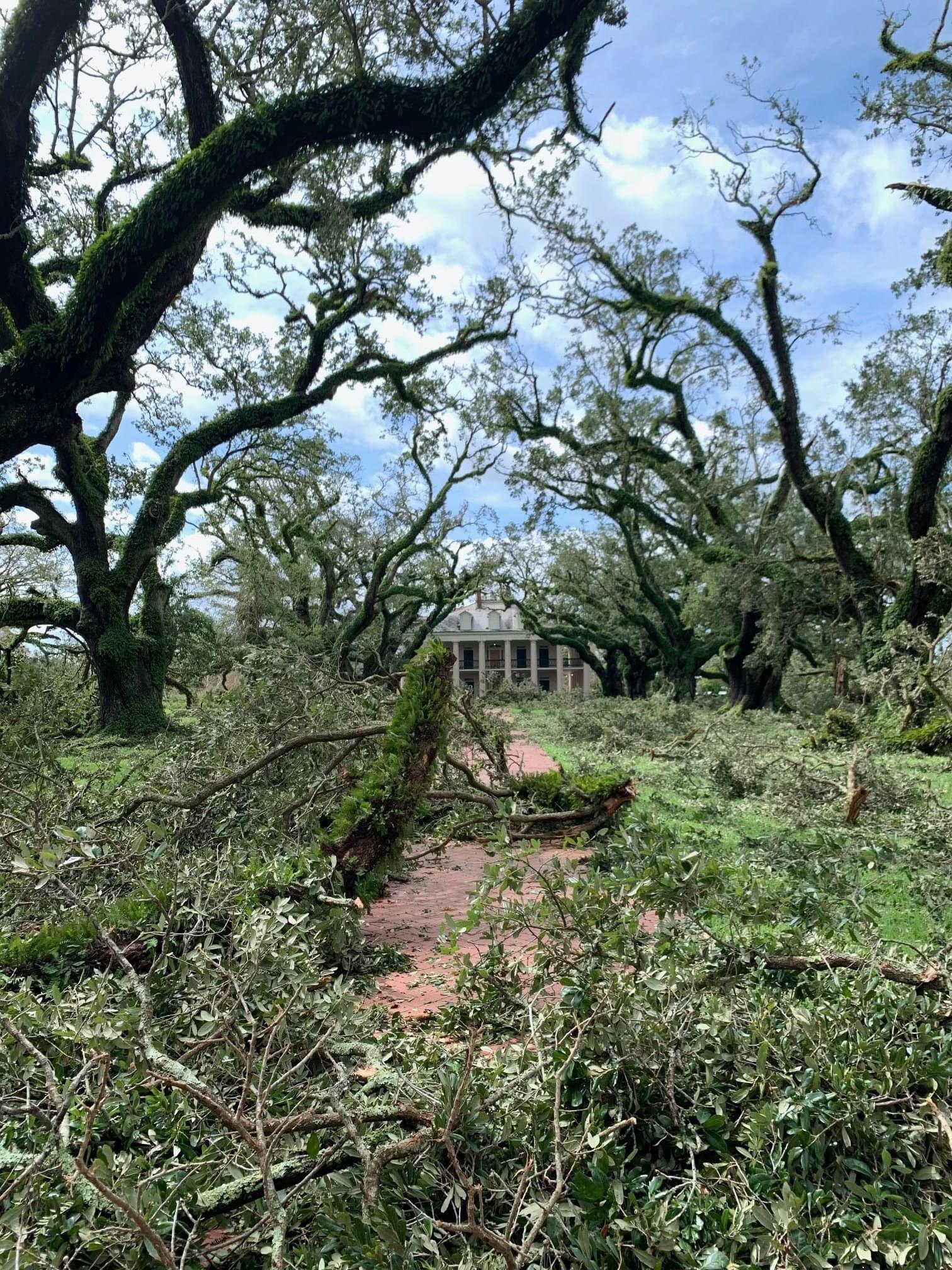 The Real Life “Braithwaite Manor” aka Oak Alley Plantation in Louisiana