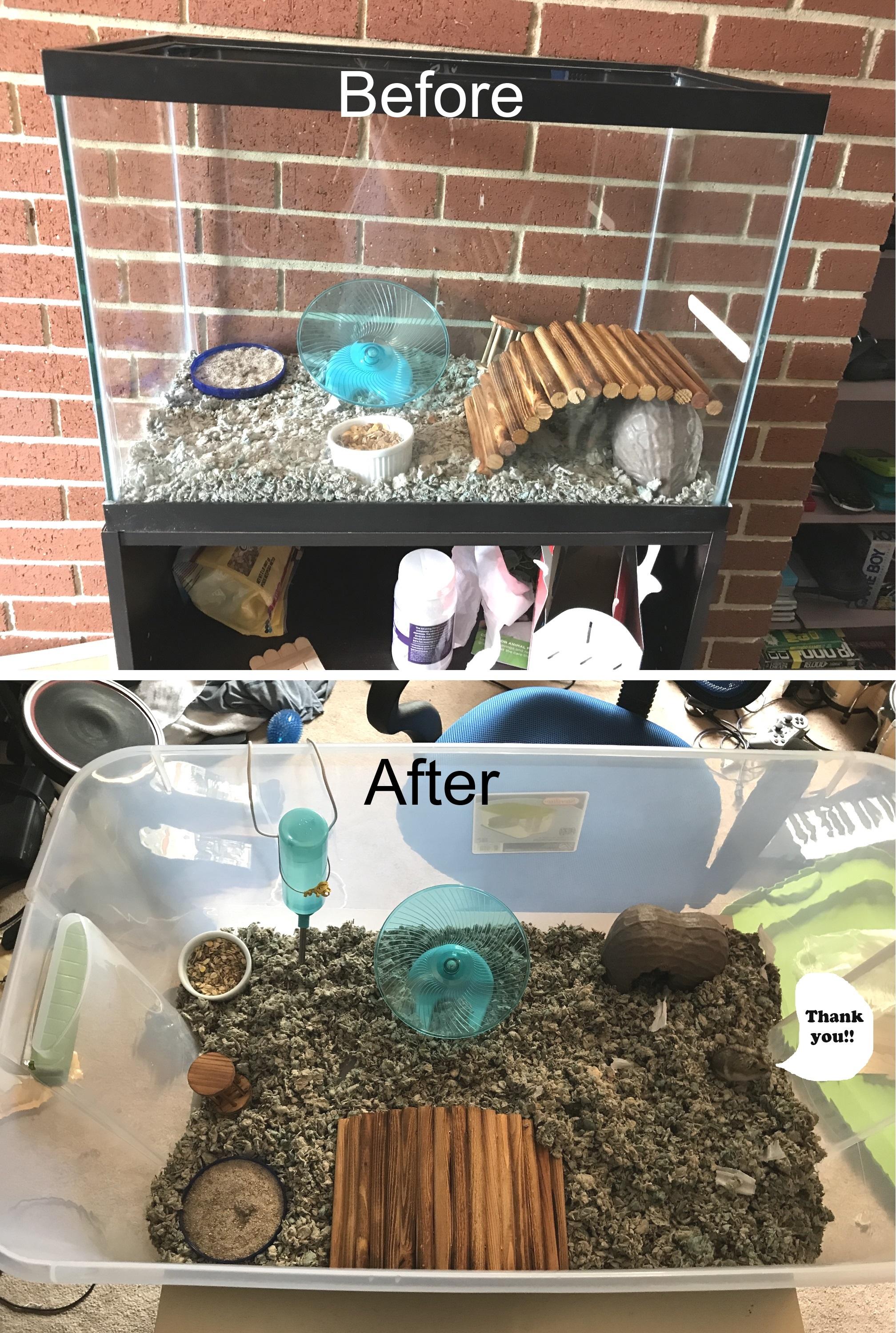 FRIENDLY REMINDER Please make your hamster's home as big as you can