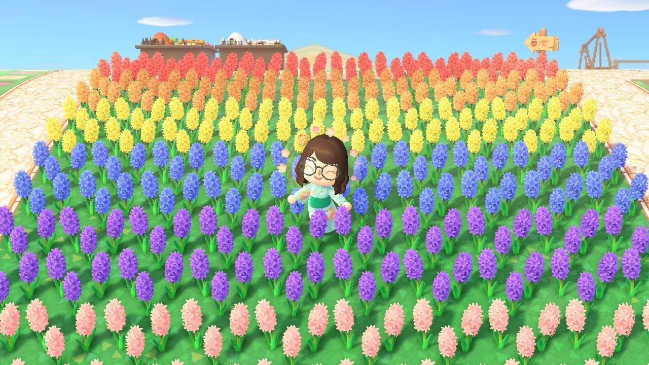 I finally finished my hyacinth rainbow🌈 r/AnimalCrossing