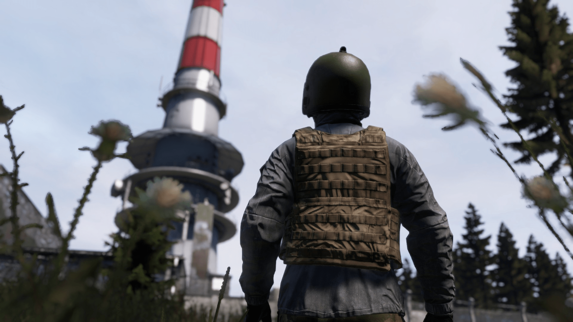 The Green Mountain Tower r/dayz