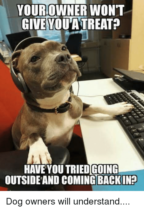 Pibble call center pitbulls
