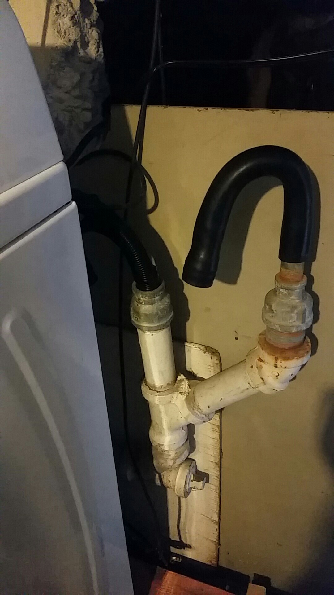 Duplex with a shared basement for laundry. The neighbors washer drains