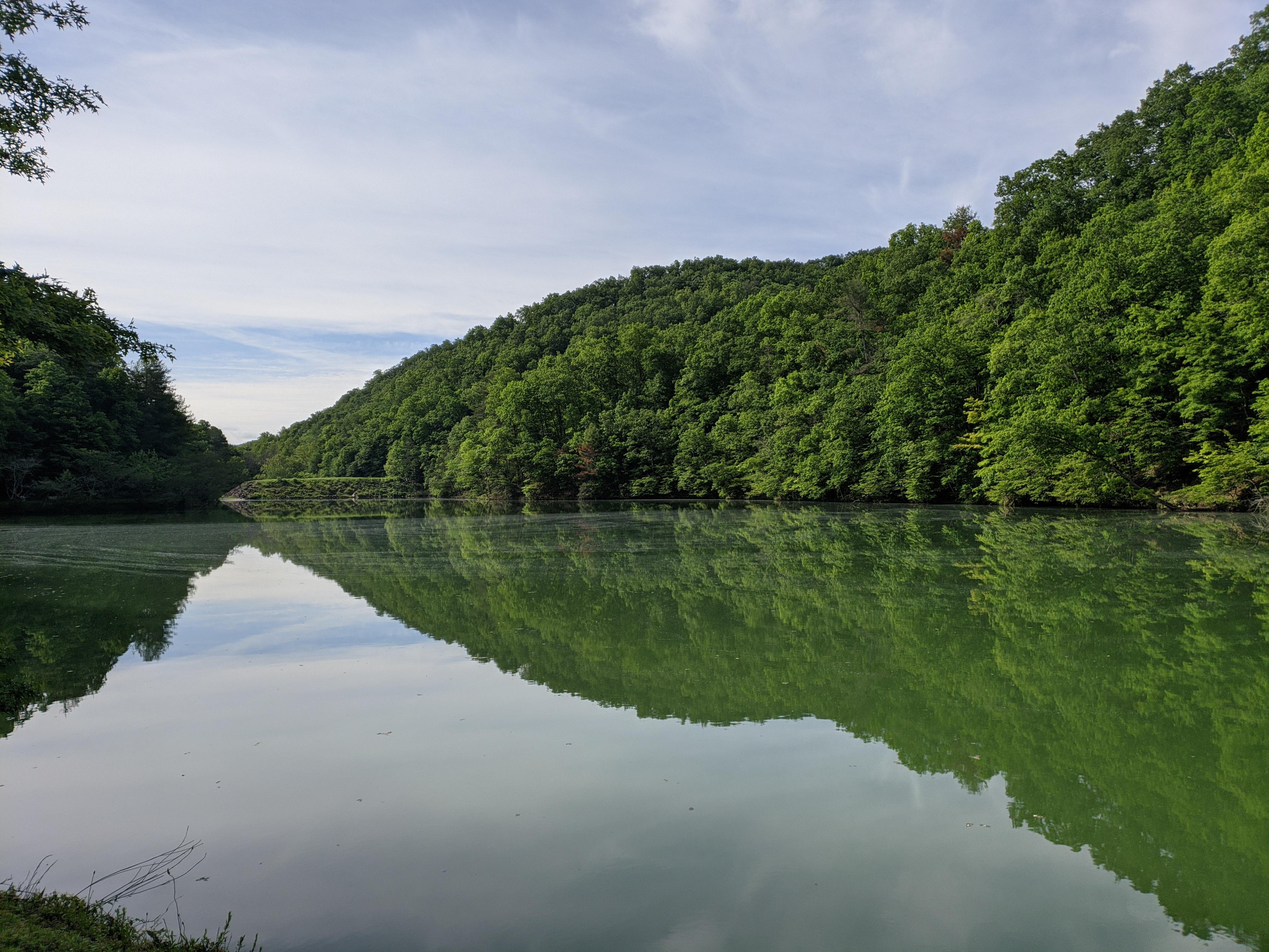 Walk by the Lake at Roosterfront Park, Bristol TN [OC] [4032X3024] r