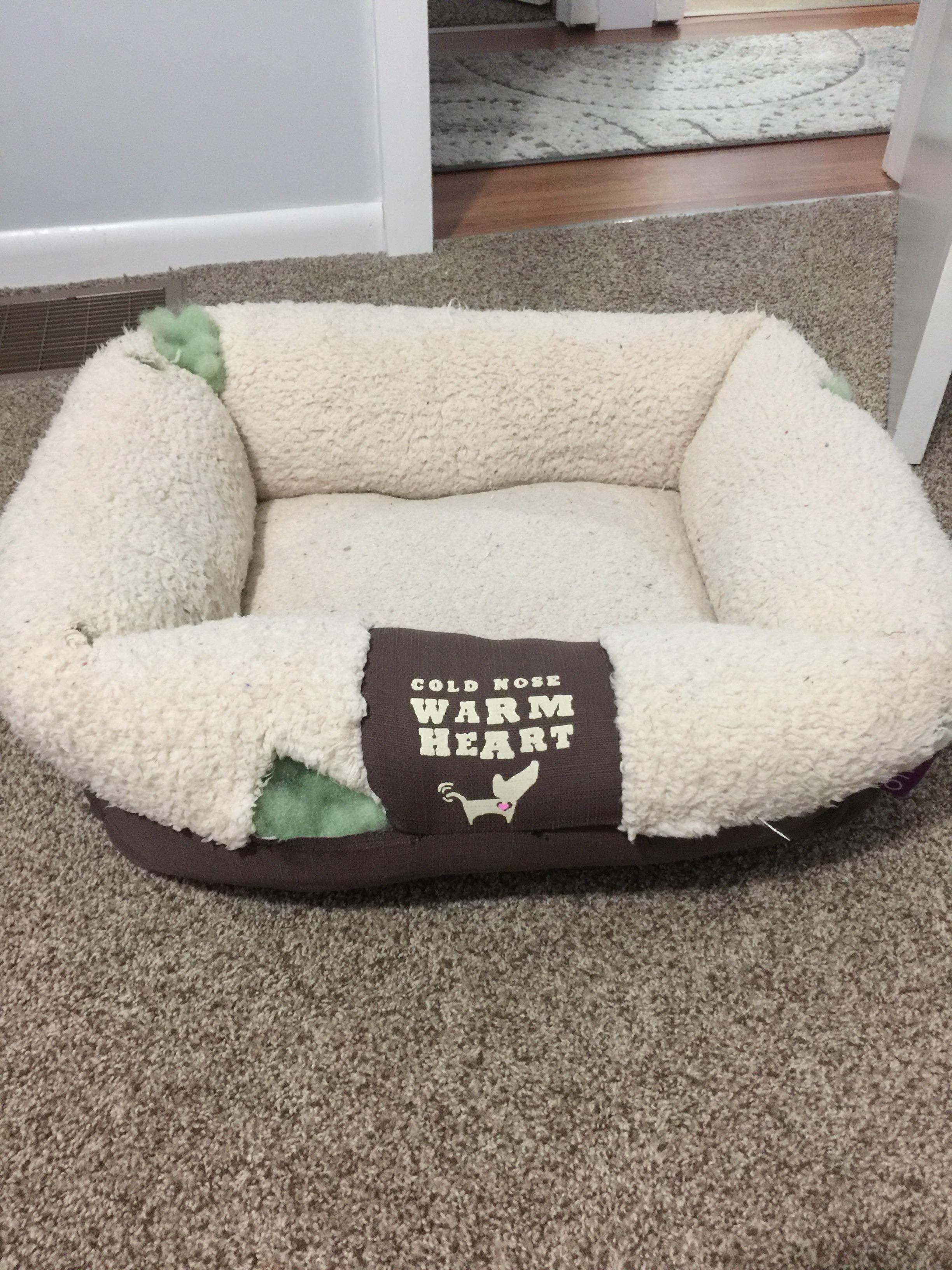 Please help me find this dog bed it's made by *Halo* r/HelpMeFind