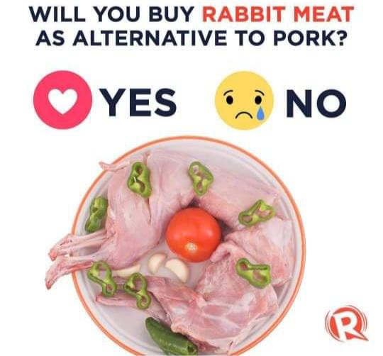 🤔 yeah nawp (no offense to people who consume rabbit) r/Philippines