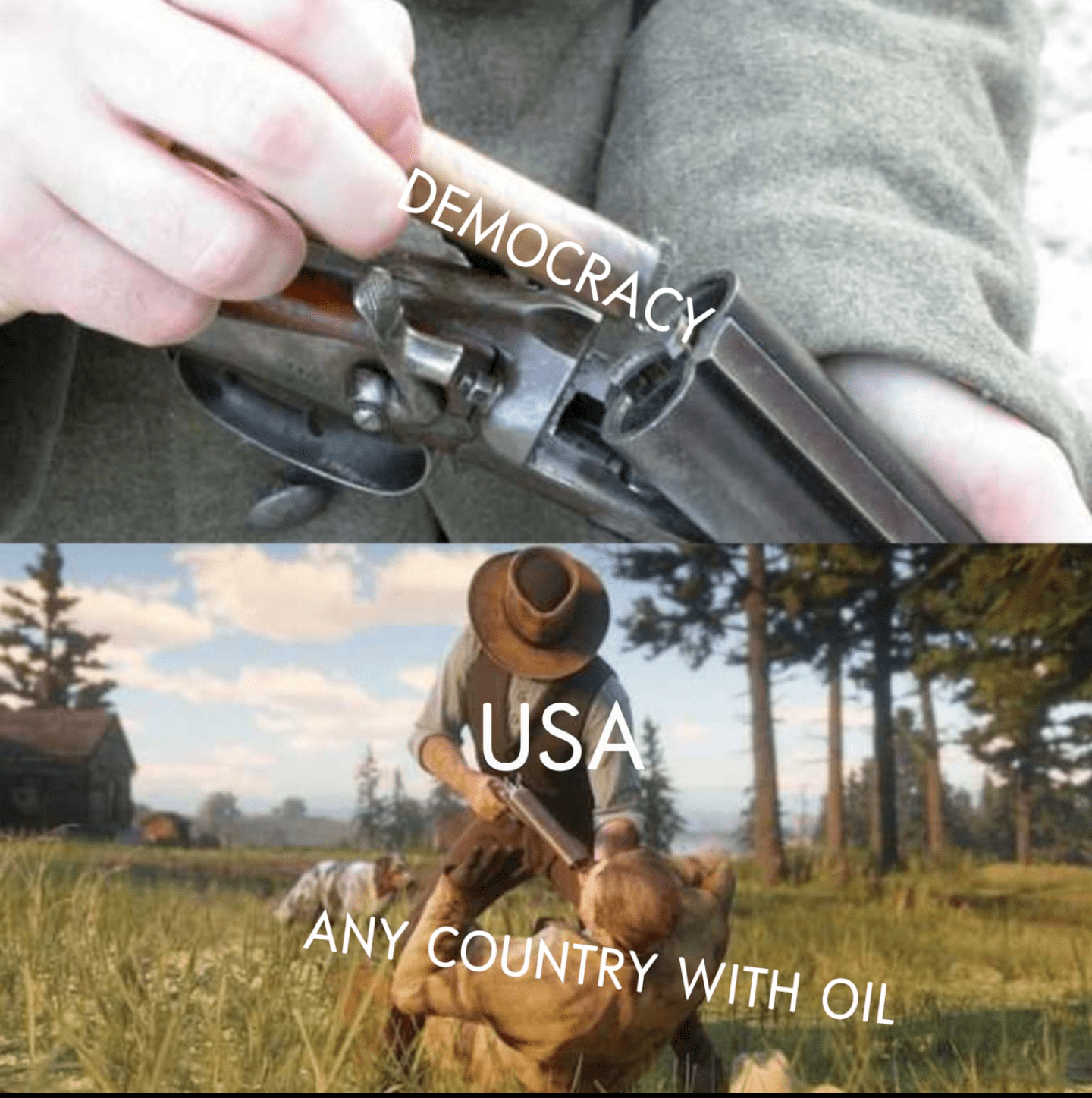 Did you say... democracy? r/dankmemes