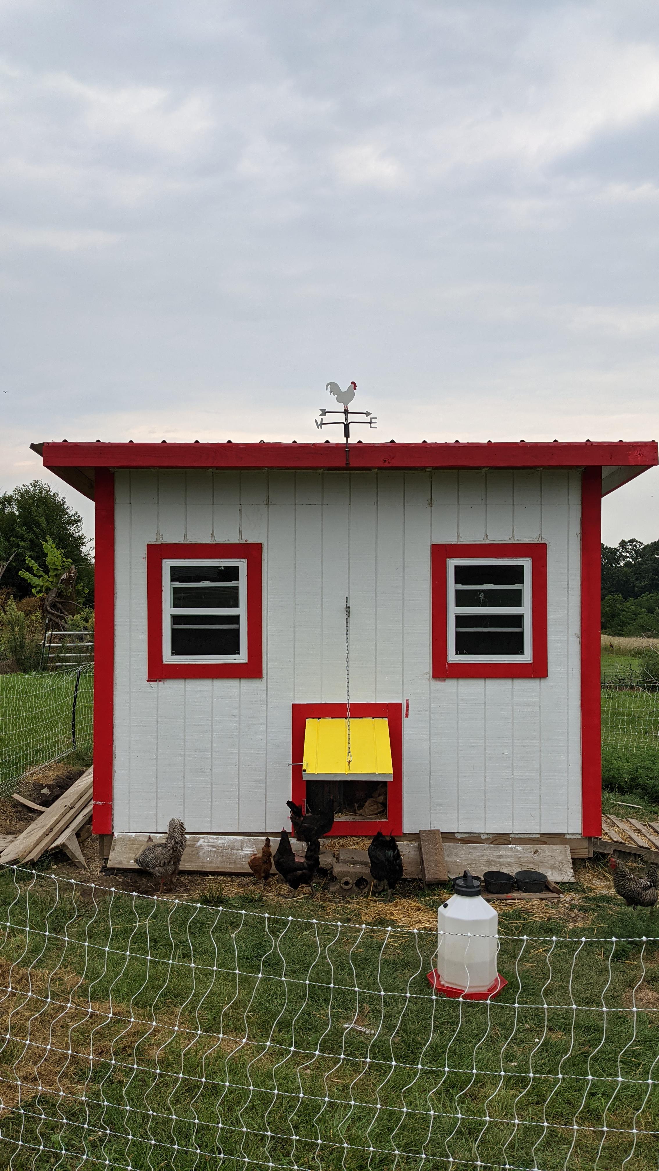Chicken coop looks like a chicken r/Pareidolia