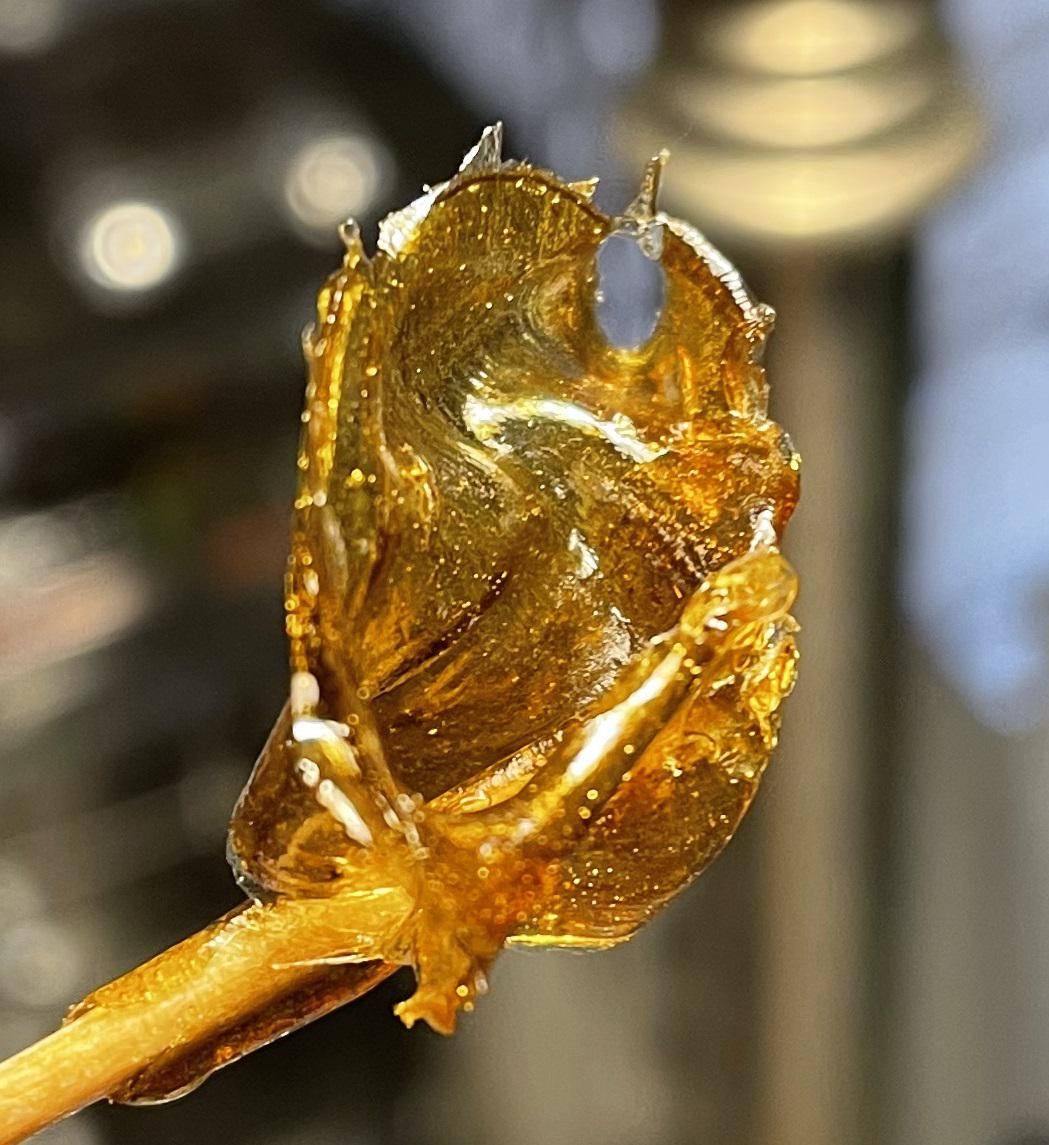 Blue Dream Flower Rosin (11 THCaCBDa) r/altcannabinoids