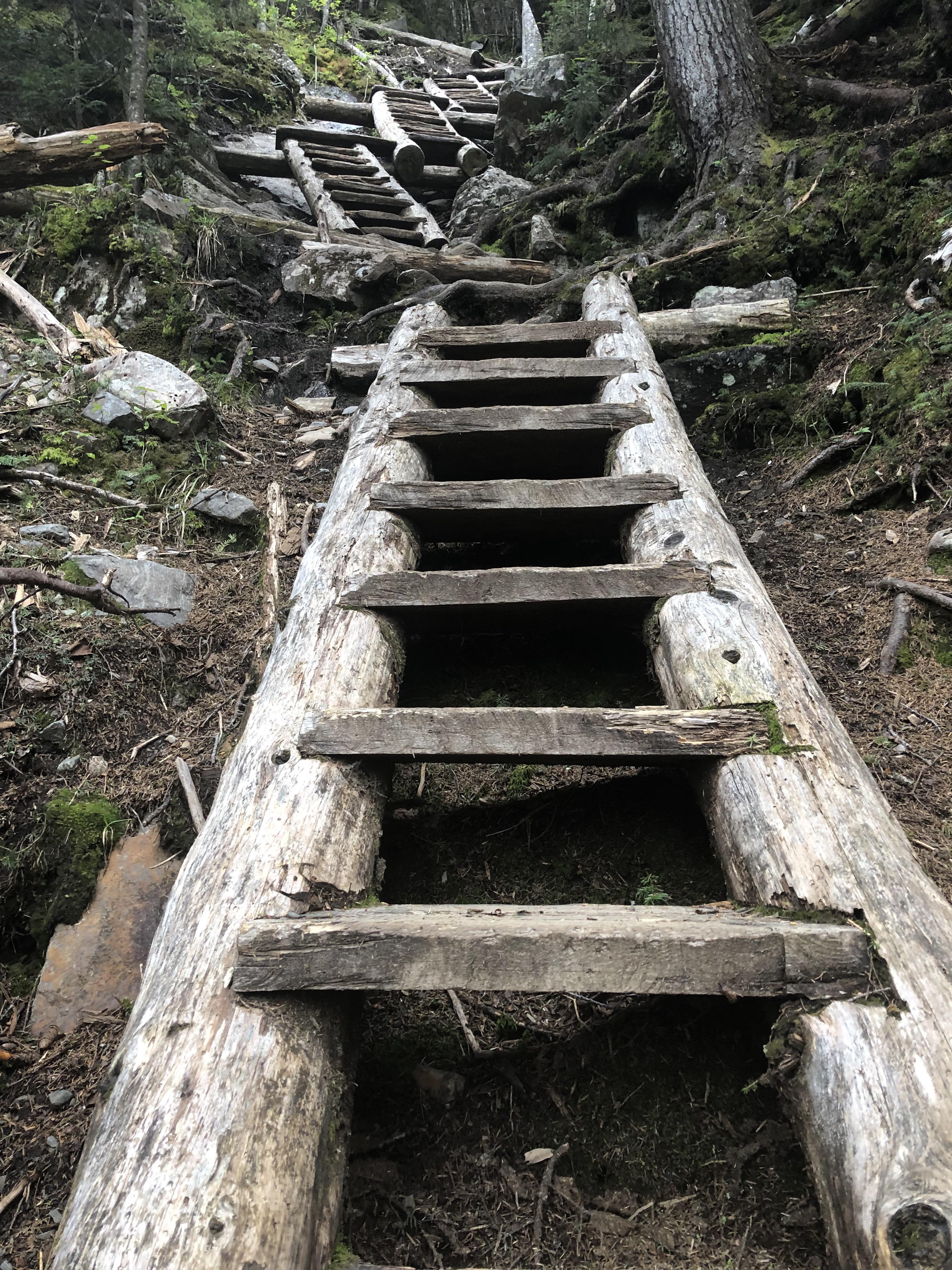 Stairway to heaven. Willey Ladders on the Willey Range Trail, White