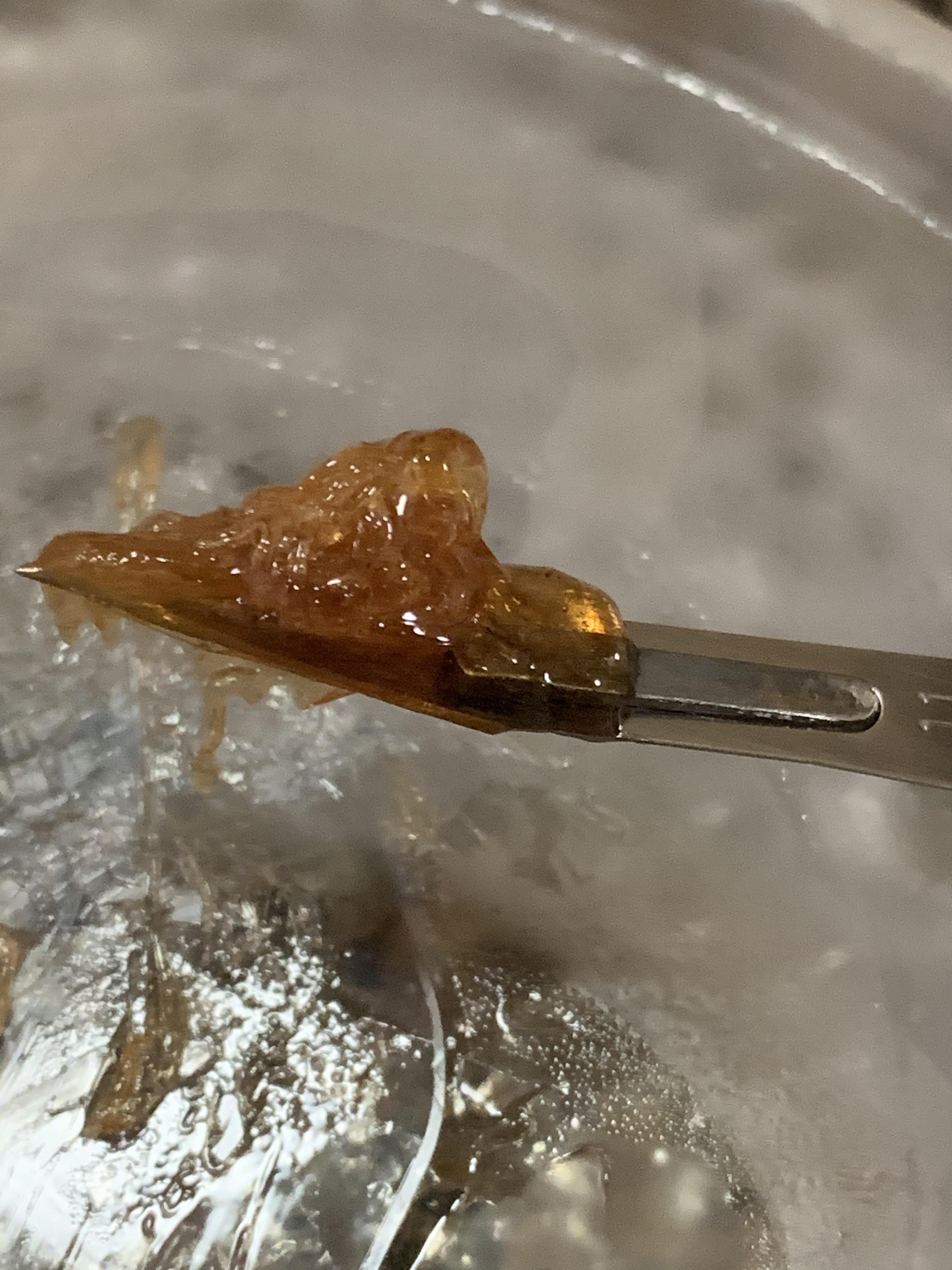 85 pure capsaicin. I’m trying to get pure crystals but it’s staying sappy. Maybe I need to