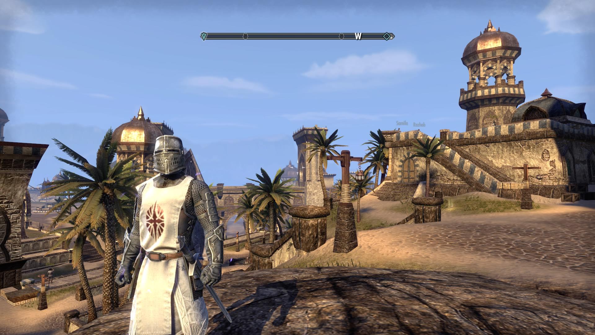 Elder Scrolls Online Templar