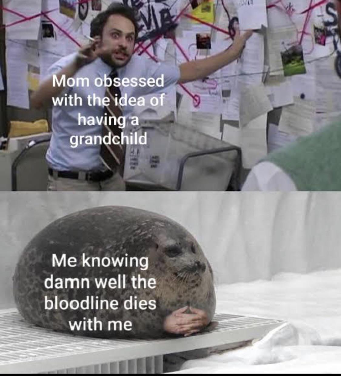 Day 2 of forcing my mom to look at lgbtq+ memes until she gets it