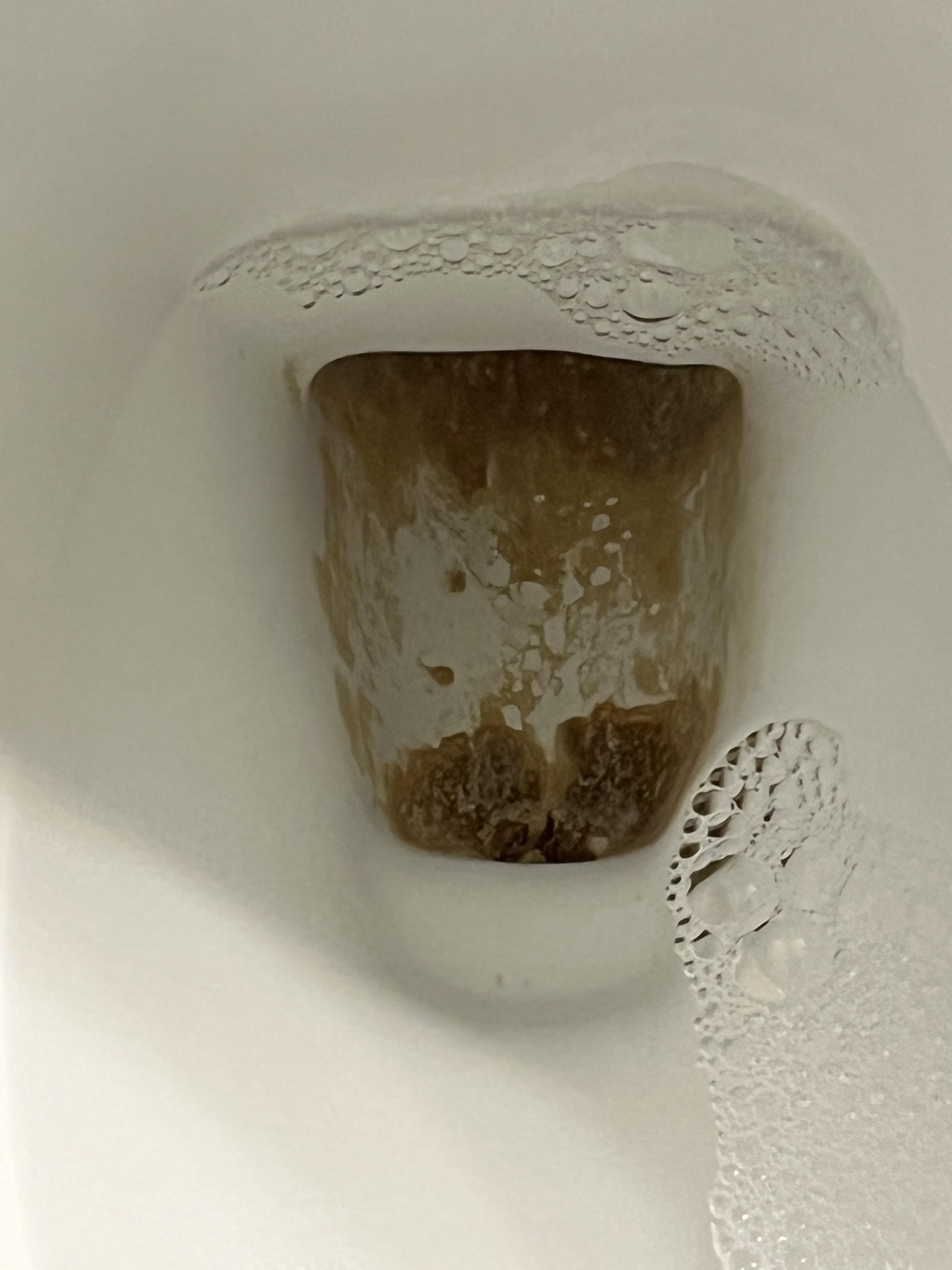How can I clean this part of my toilet? The gunk is caked on! r