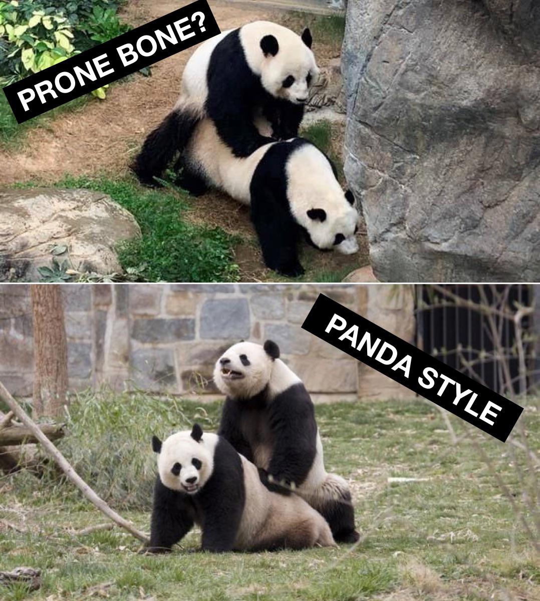 Prone Bone? : r/memes