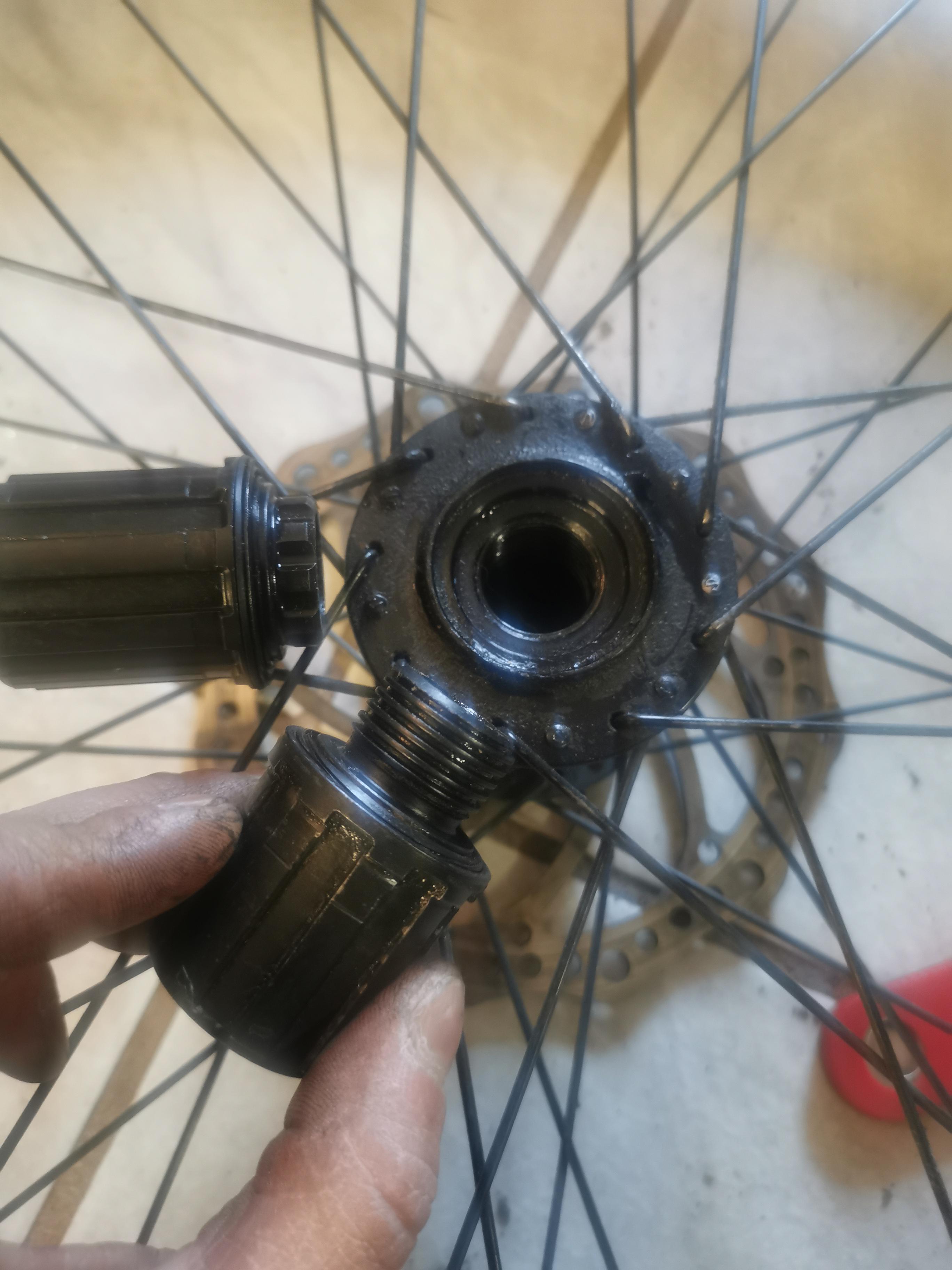 I had to change my freehub to fit a 12 speed cassette but I ran into a