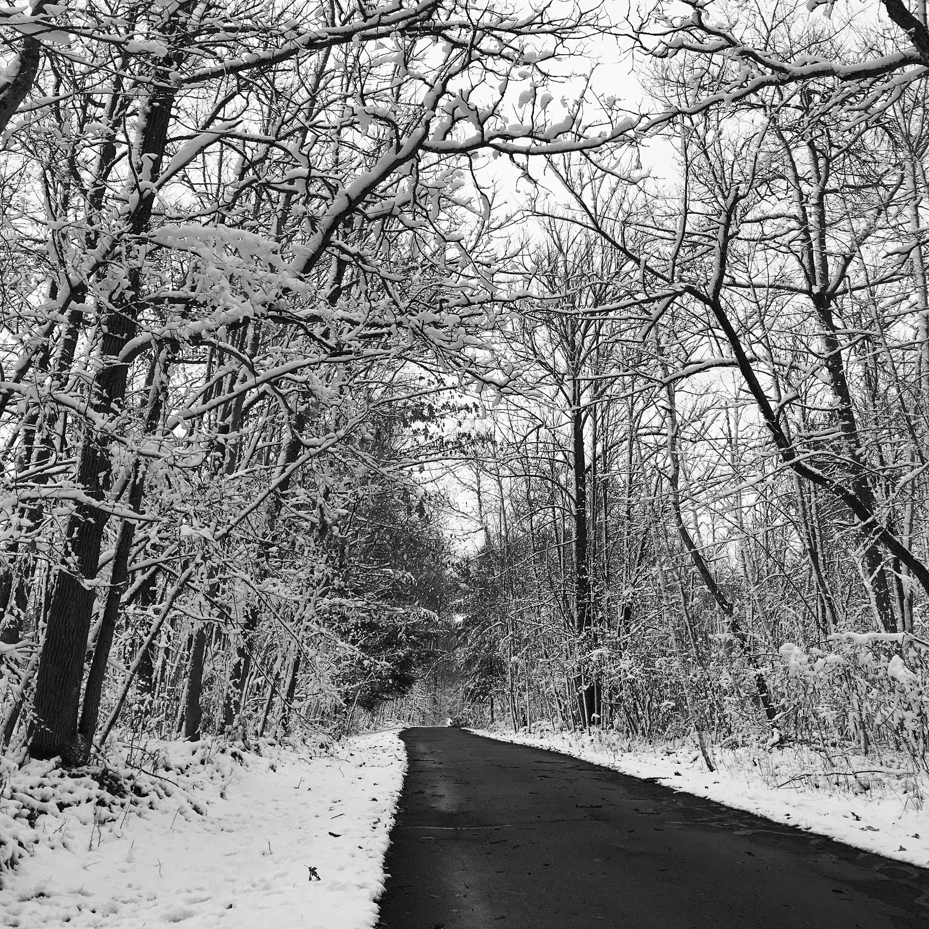 First snowfall near Fifty Lakes, MN r/minnesota