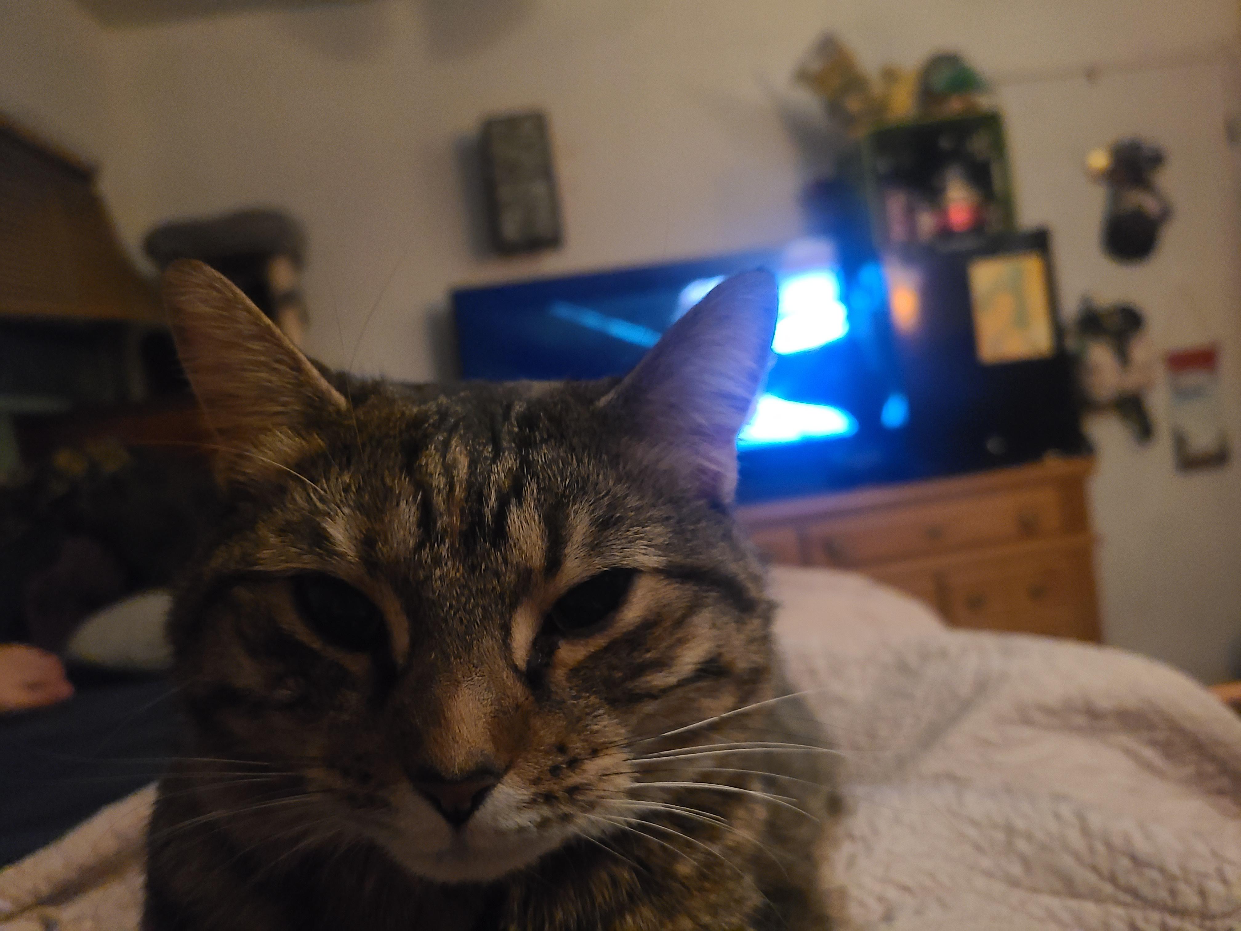 To watch TV in bed r/therewasanattempt