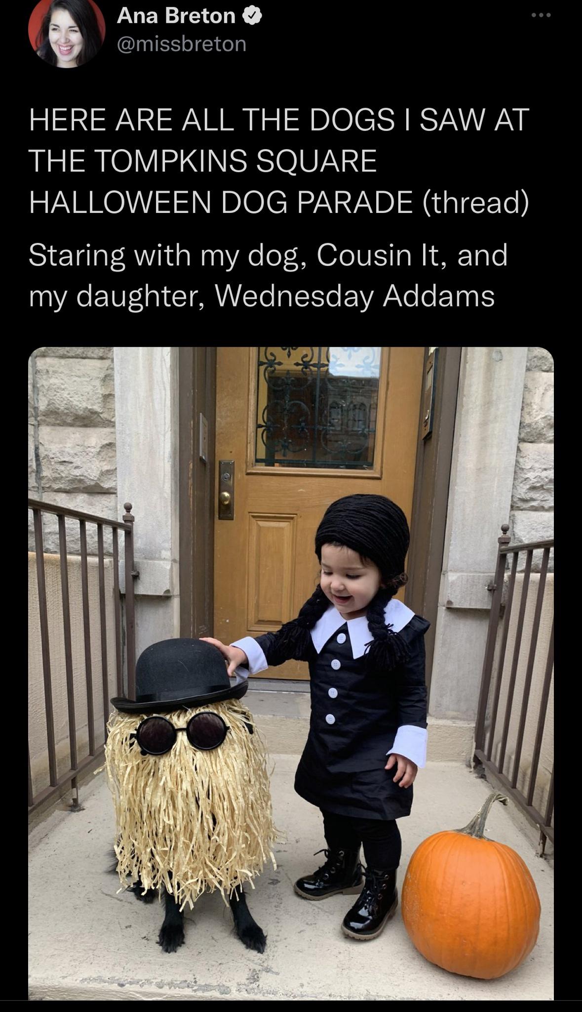 Halloween Dog Parade r/WhitePeopleTwitter