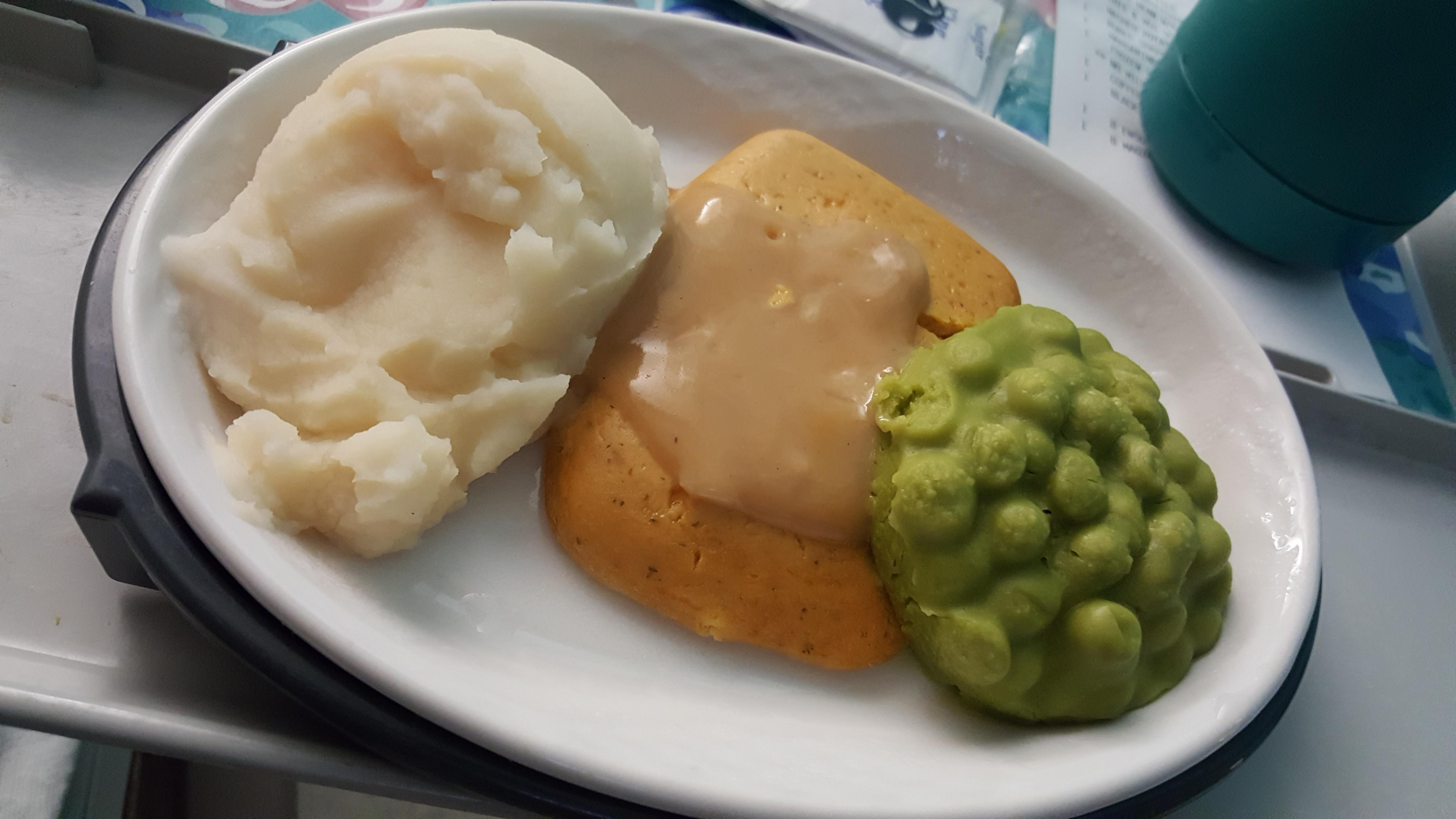 Hospital Food r/shittyfoodporn