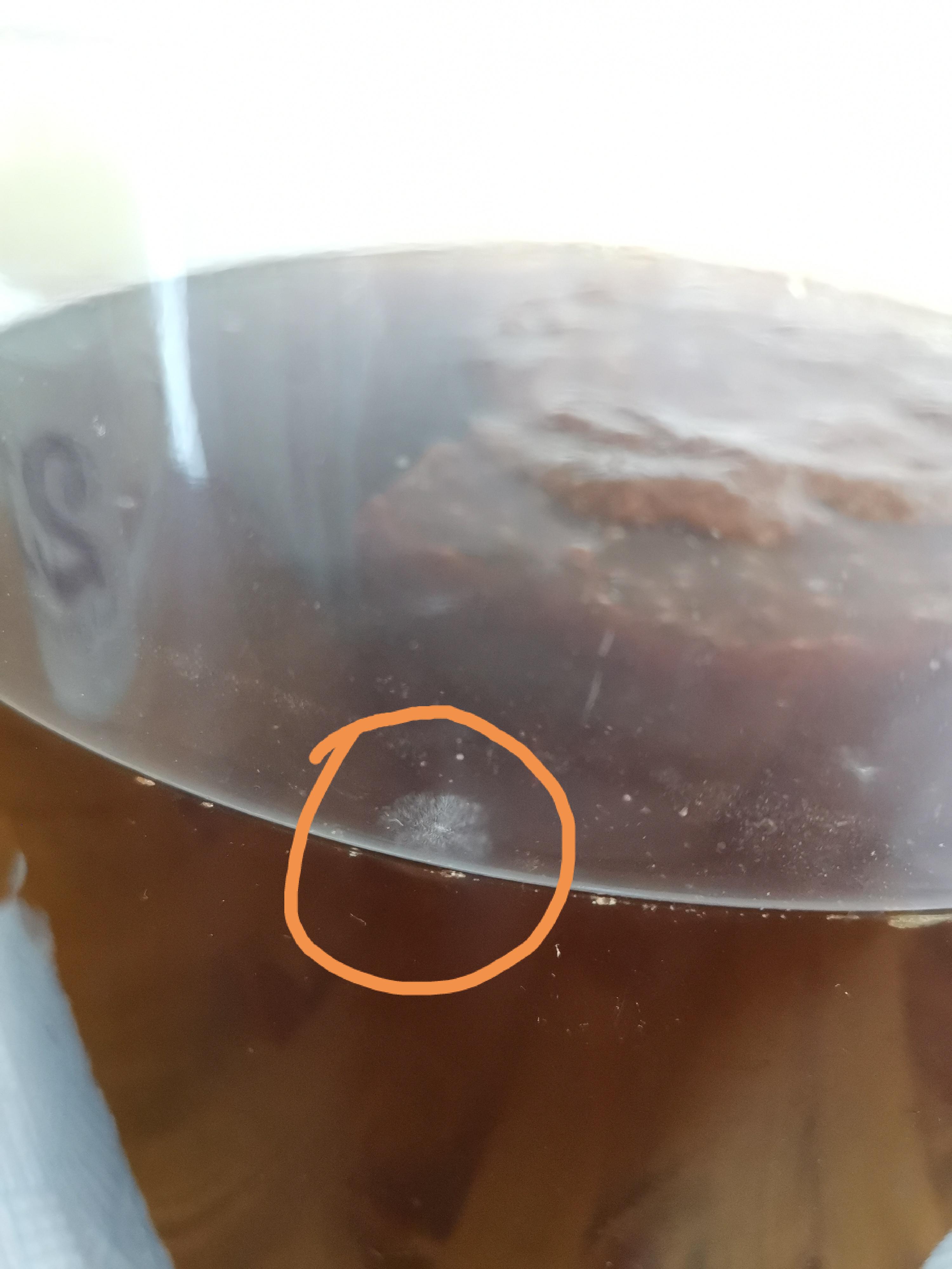 Mold? Second time brewing, first one was successful in smaller 1l