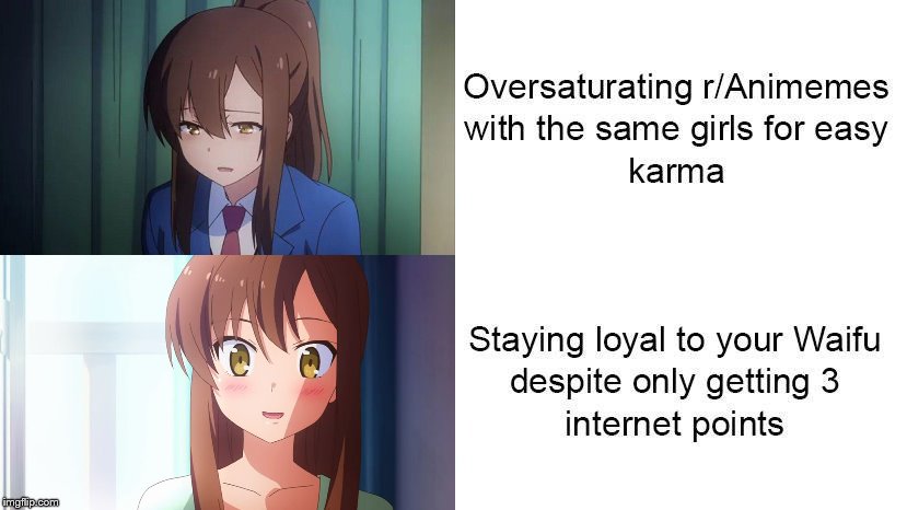 Personal best waifu > Seasonal/popular waifus : Animemes