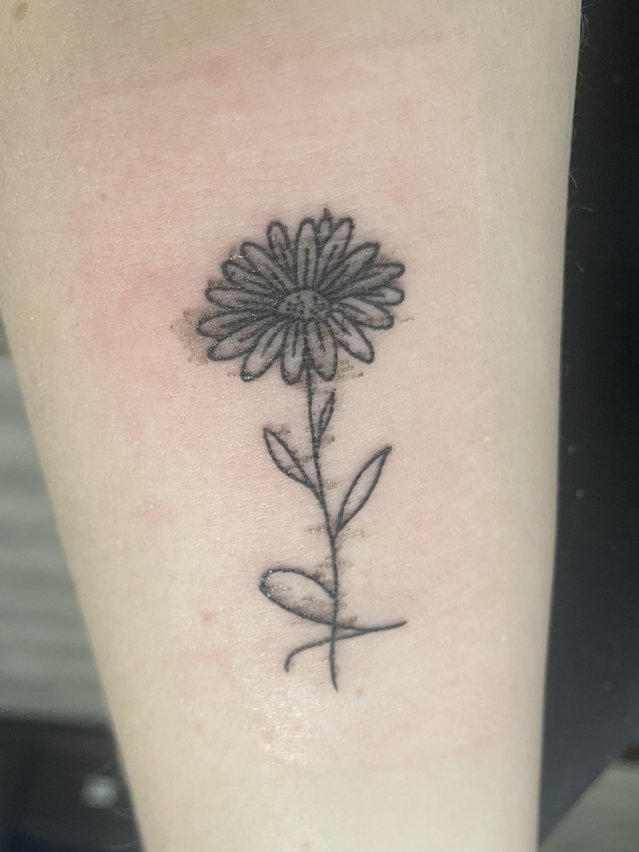 Reddit Dive into anything