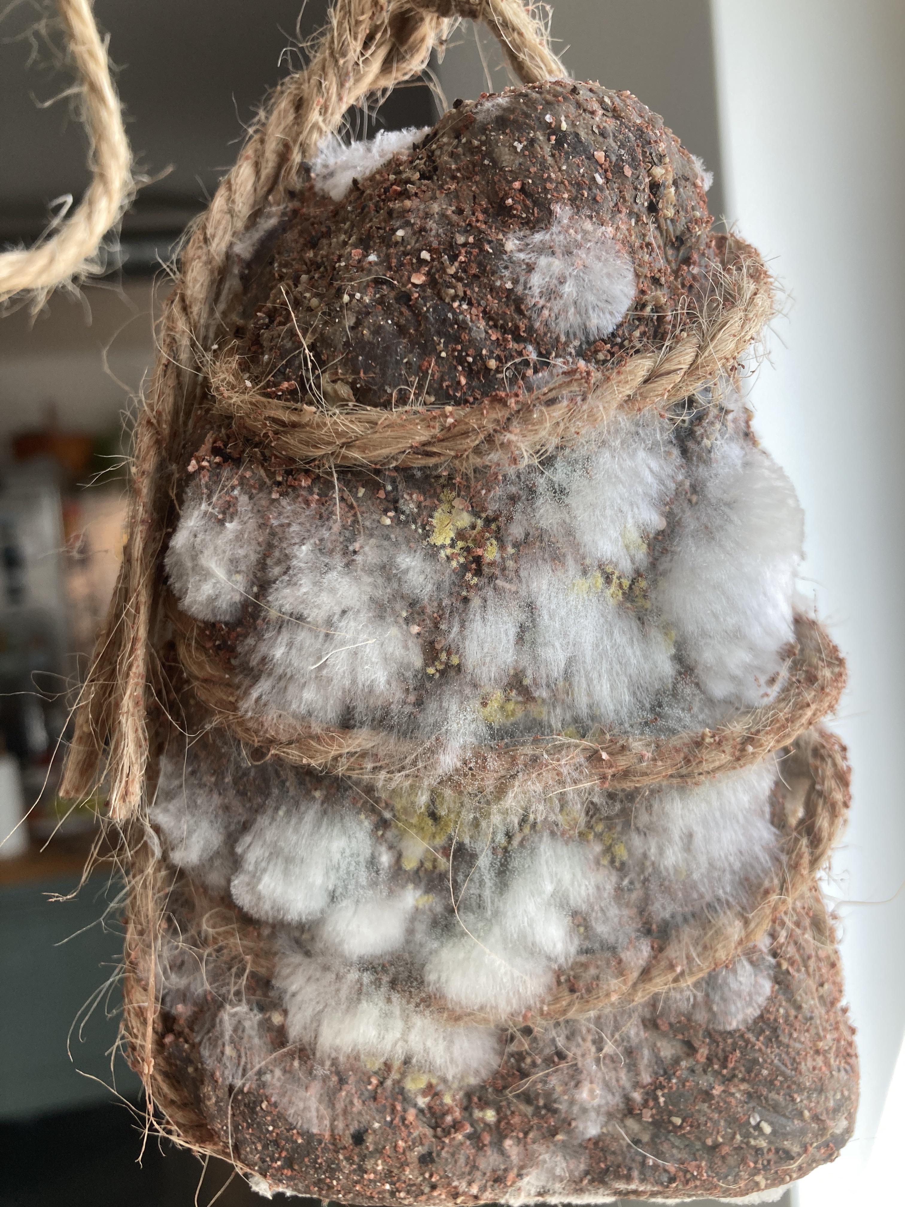 Why Is It Not Ok To Thaw Meat In The Countertop When It's Ok For Wet Markets To Display Meat In Room Temperature For Hours : R/Cooking