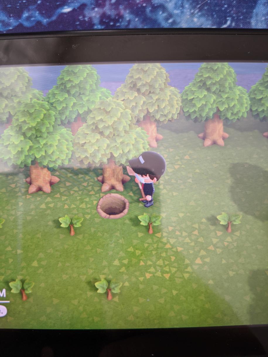 Question Why arent my trees growing? The saplings were planted the