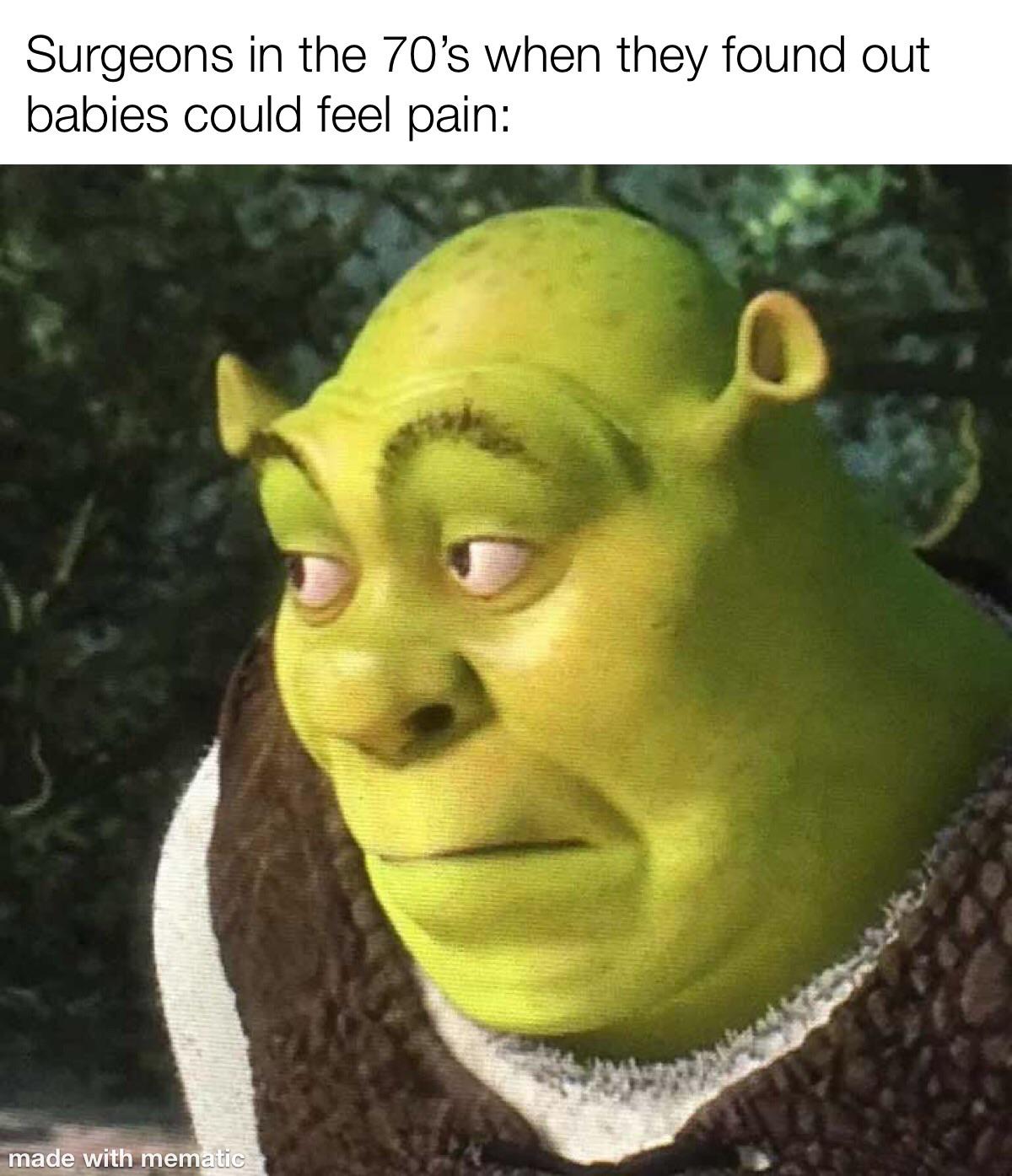 Oopsy daisies r/memes