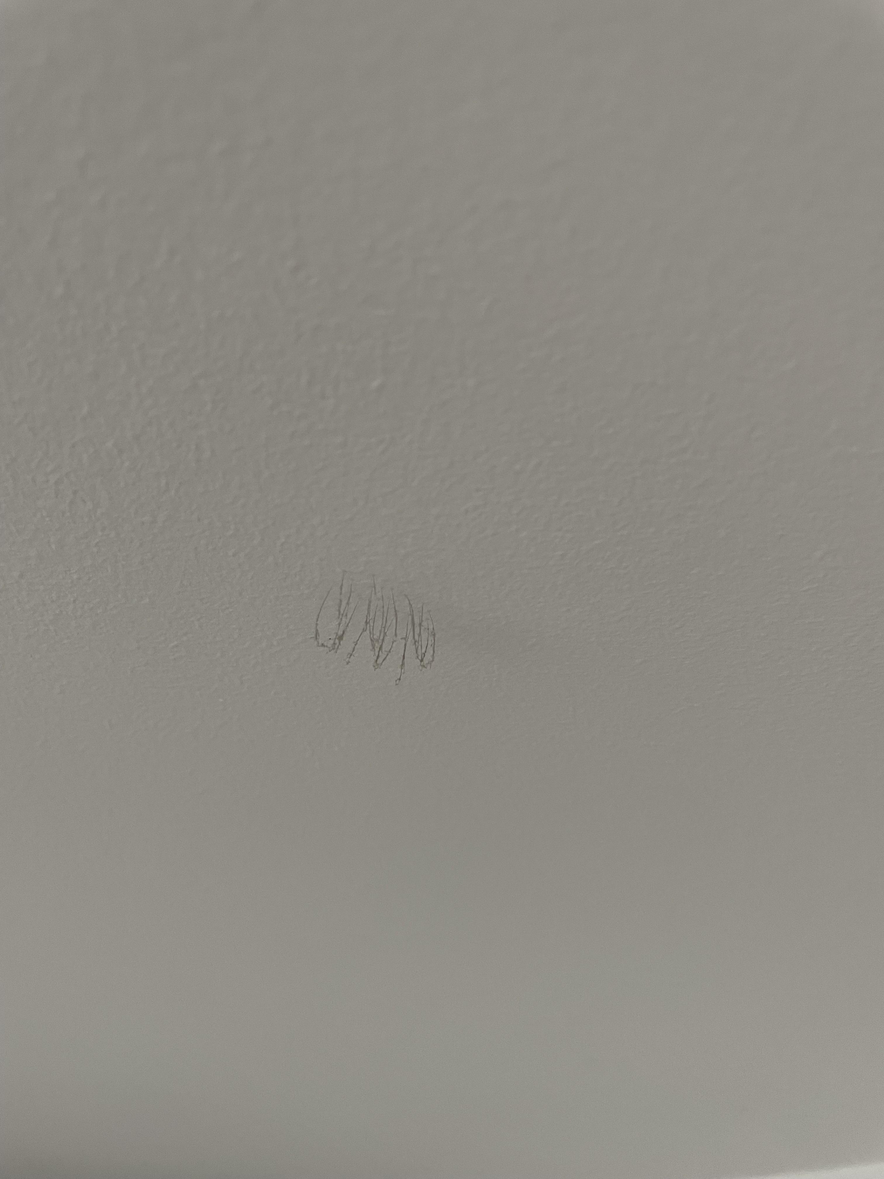 Is this mold? Looks like hair growing from the ceiling haha. Not sure