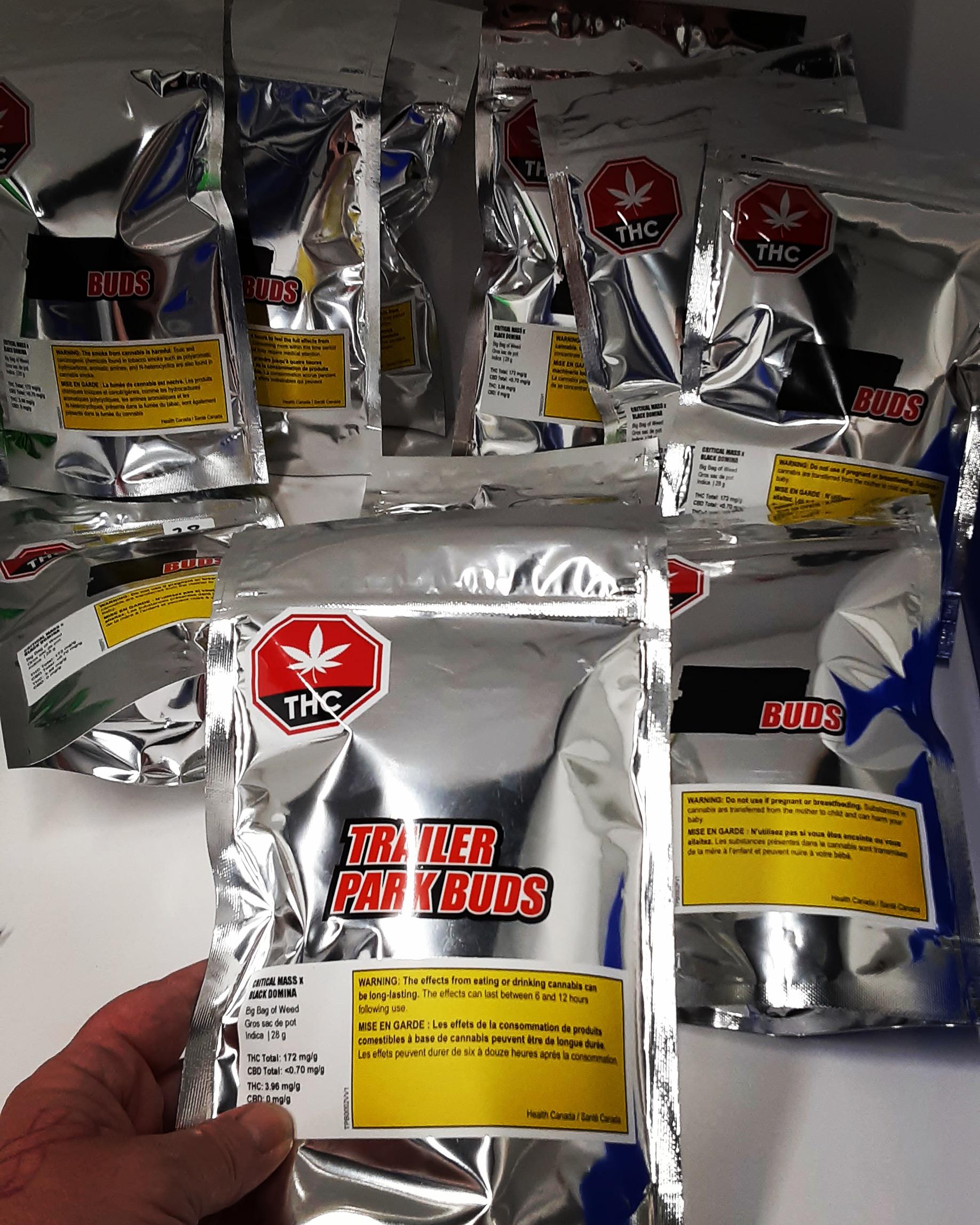 The legendary. The mythical bud. Who is the really being TPB?! BUDS or