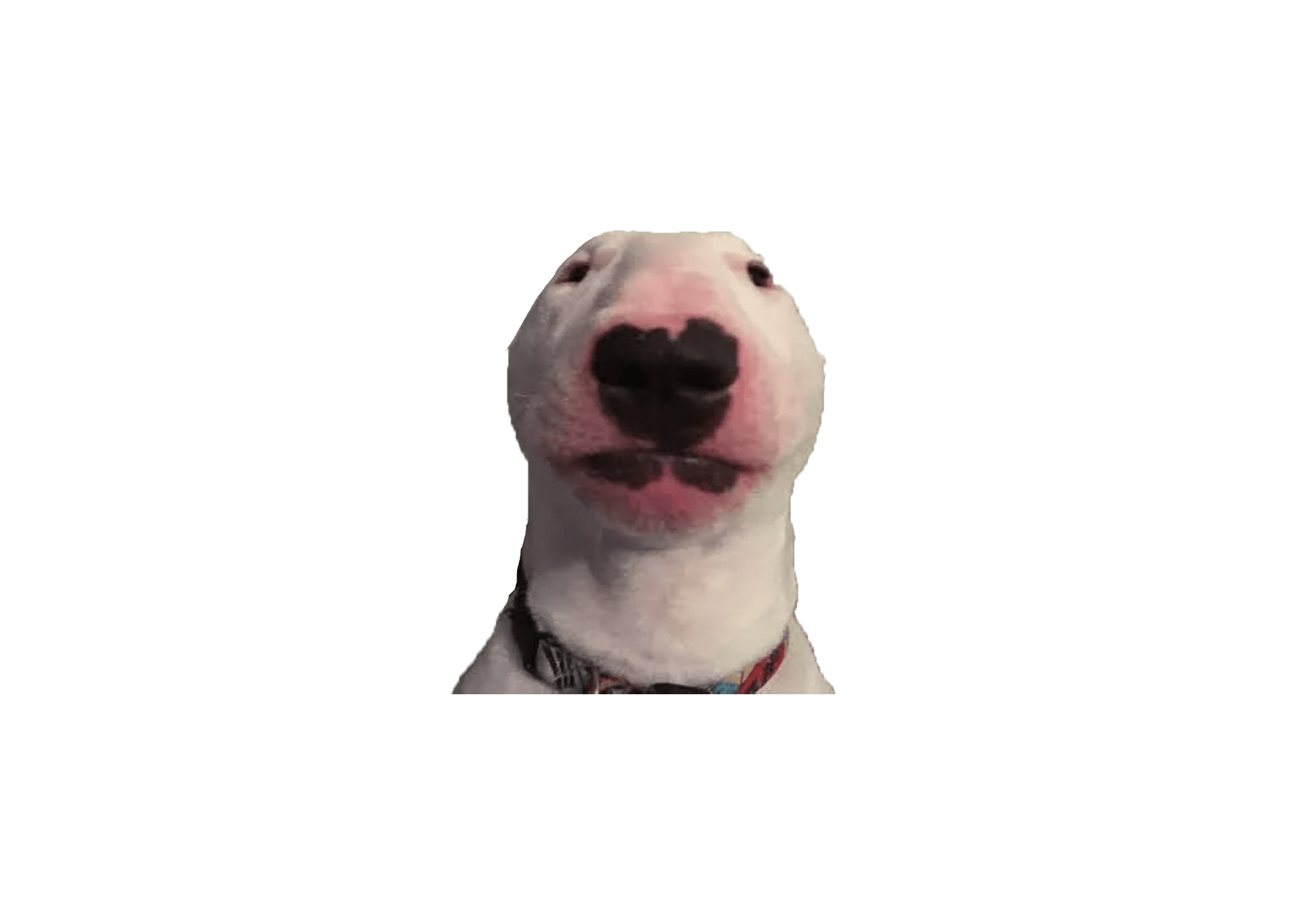 Heres a png of Walter for yall walterlore