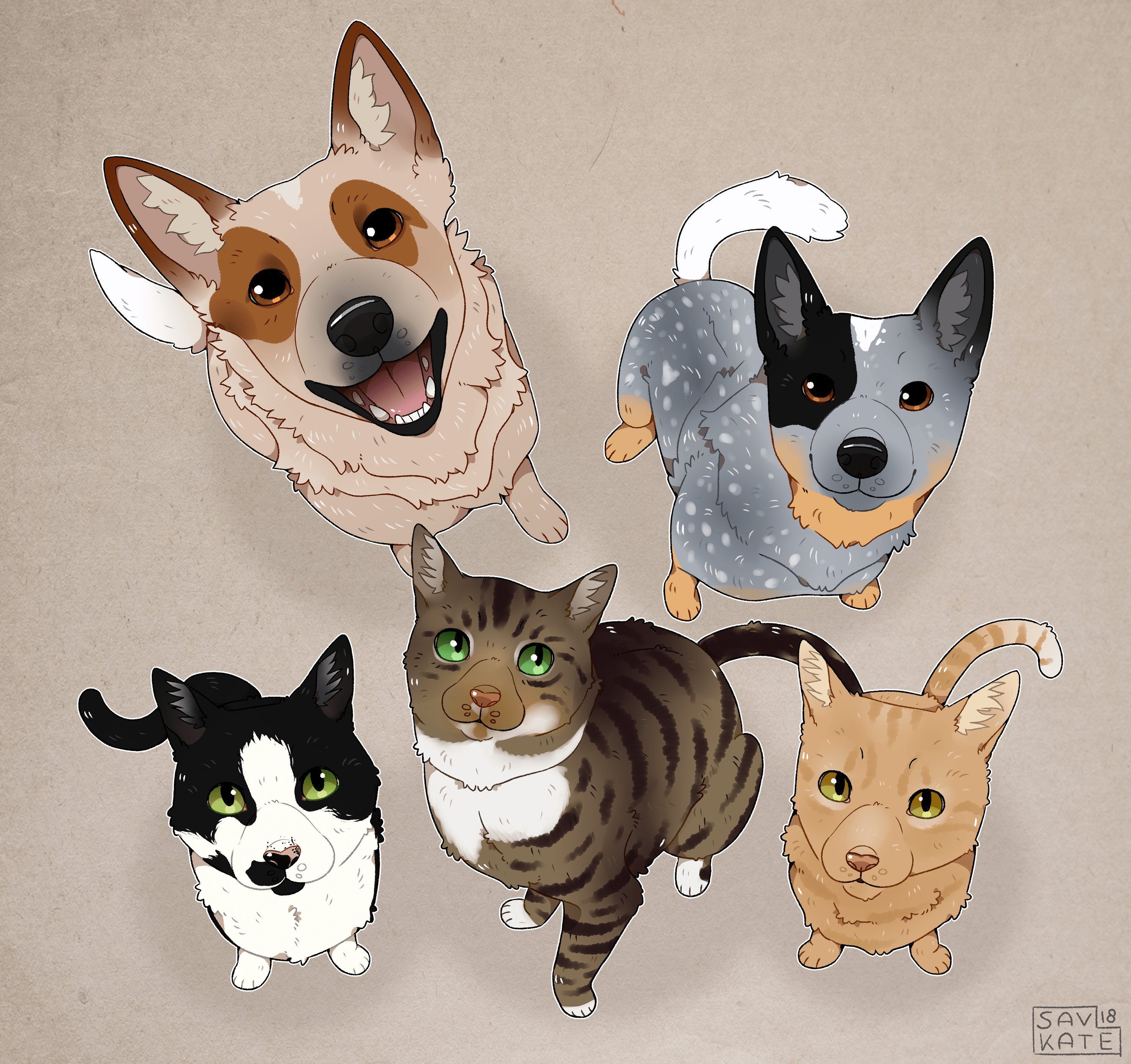 I got a commission to draw this furry pet family, including 2 lovely ACD's! r/AustralianCattleDog