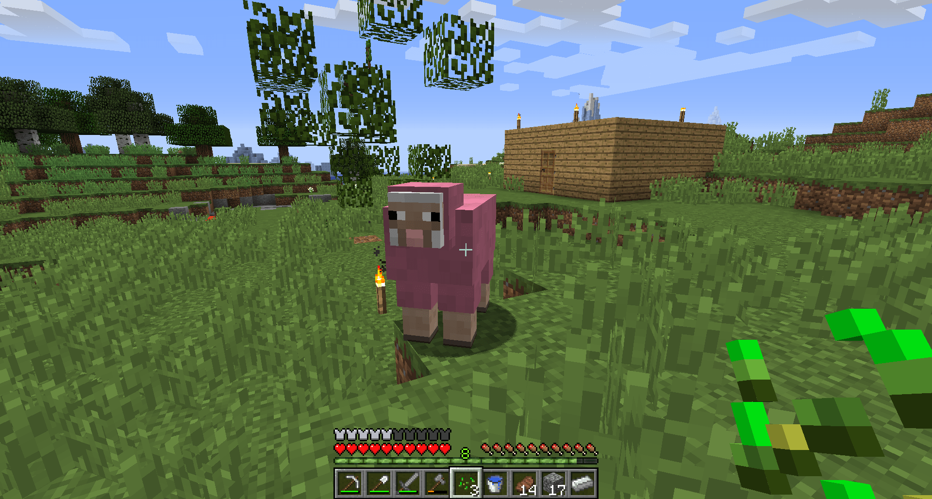 Found a pink sheep on a new map. Didn't know this was a thing. 0.02 chance of spawning
