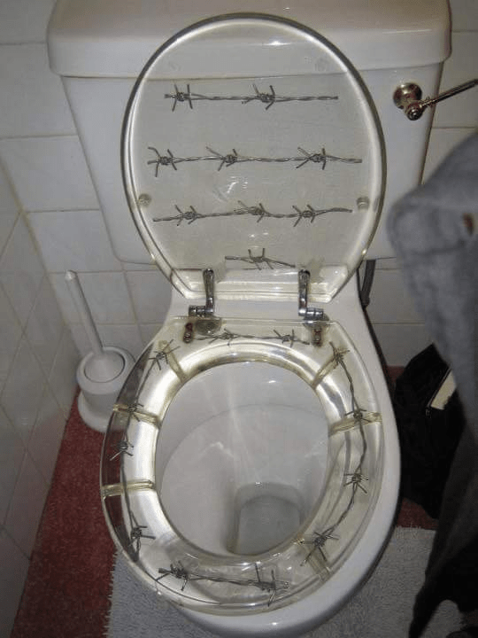 Barbed Wire Toilet Seat r/ATBGE