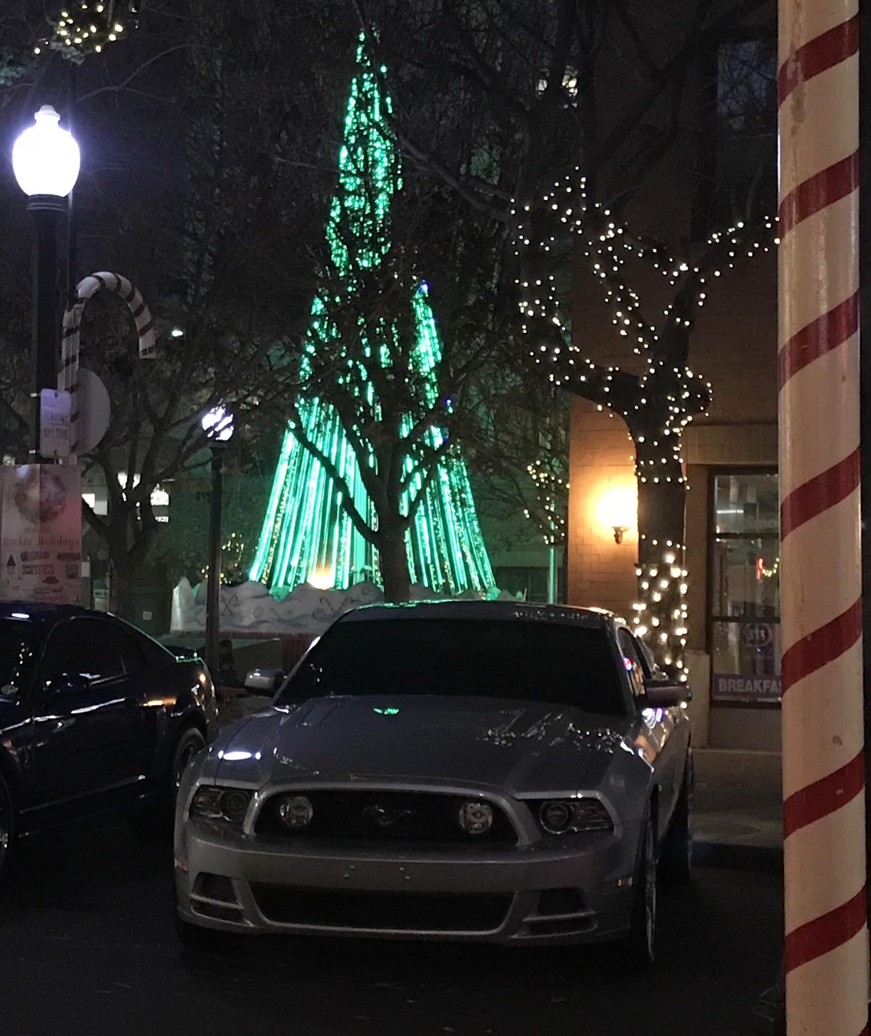 Merry Christmas r/Mustang