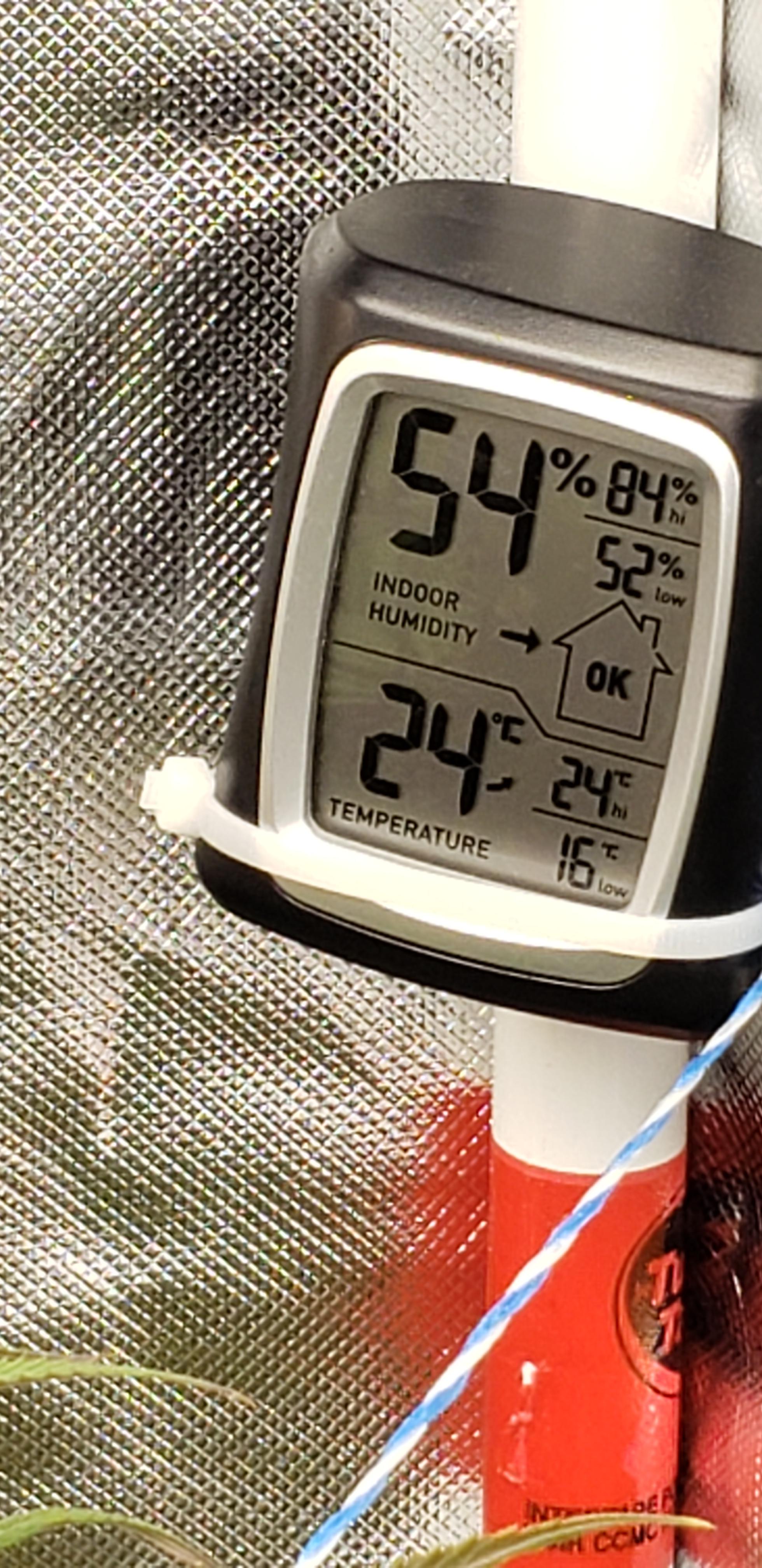 Week 7 flower. Can't do anything about the humidity. I have lots of air