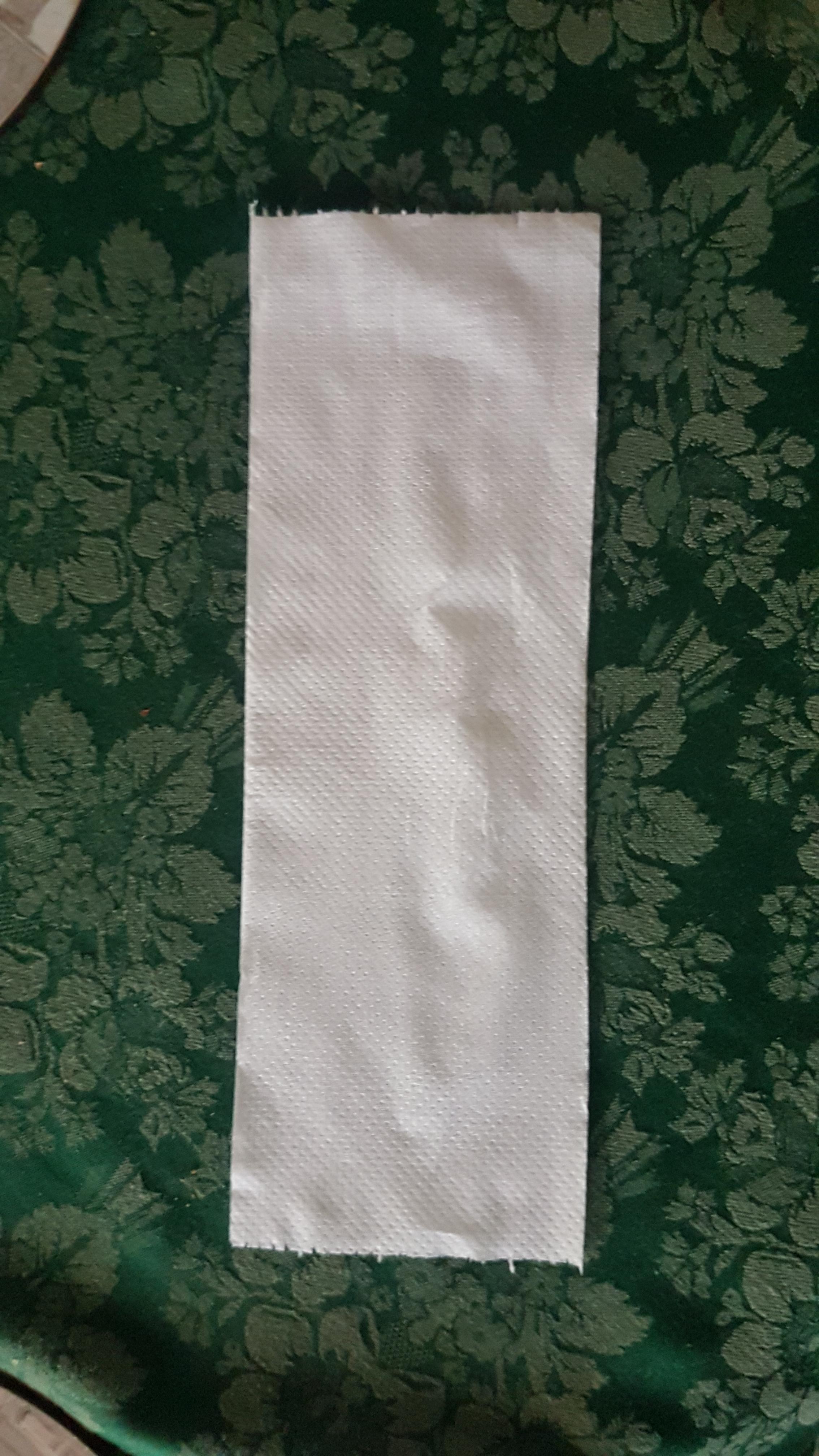 This Piece of Toilet Paper 3 squares long but no cut lines r