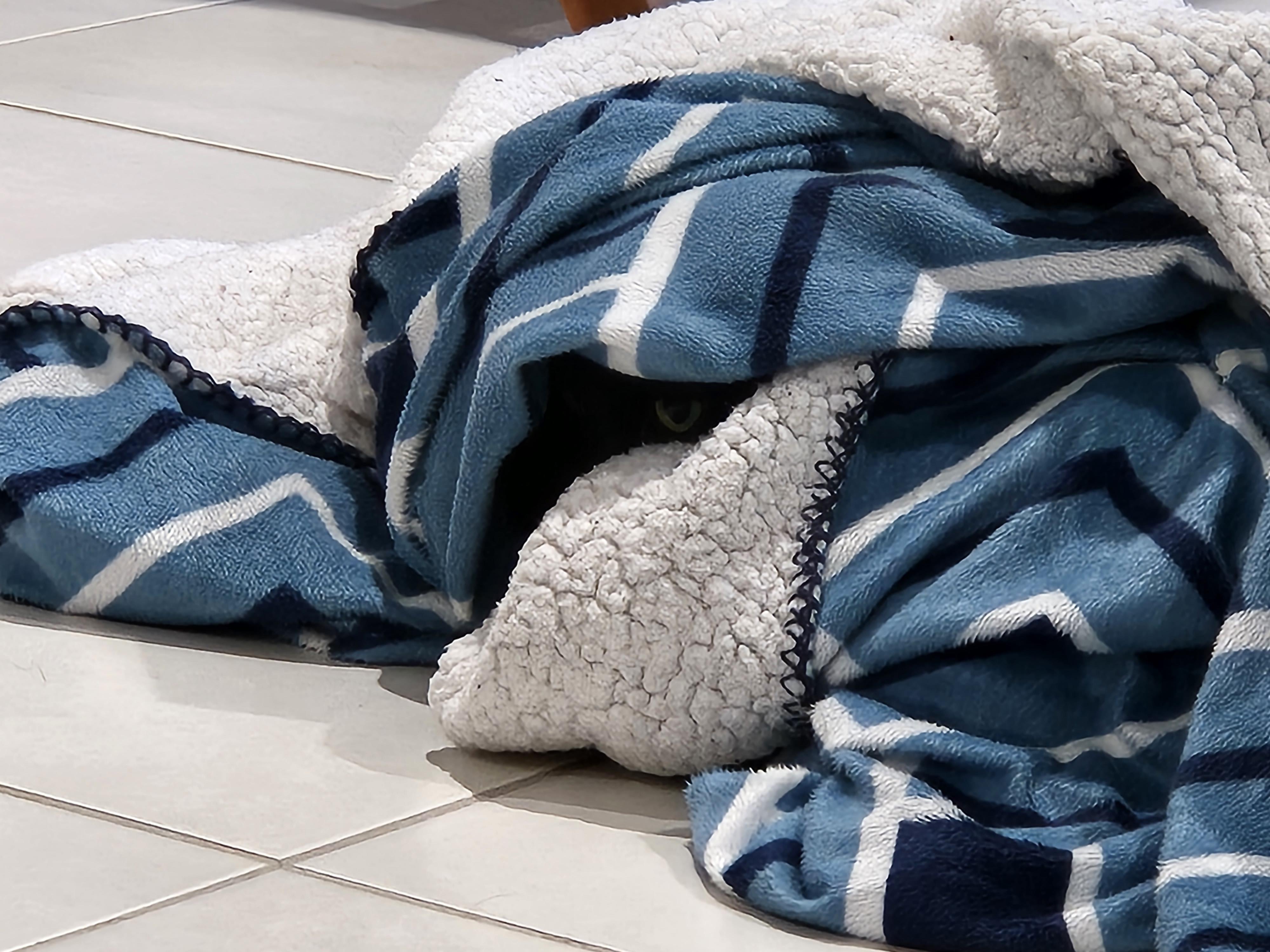 Liliana, hiding in a wet blanket. r/EyesoftheVoid