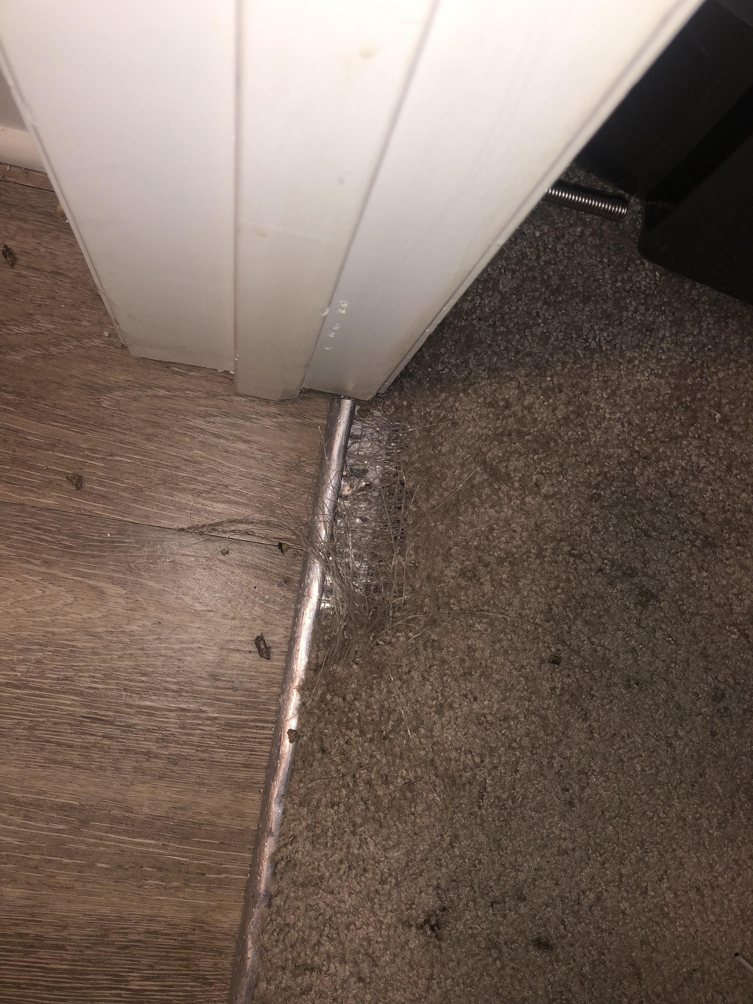 Cat tore up carpet and my lease is ending! Do I need to fix it? If so
