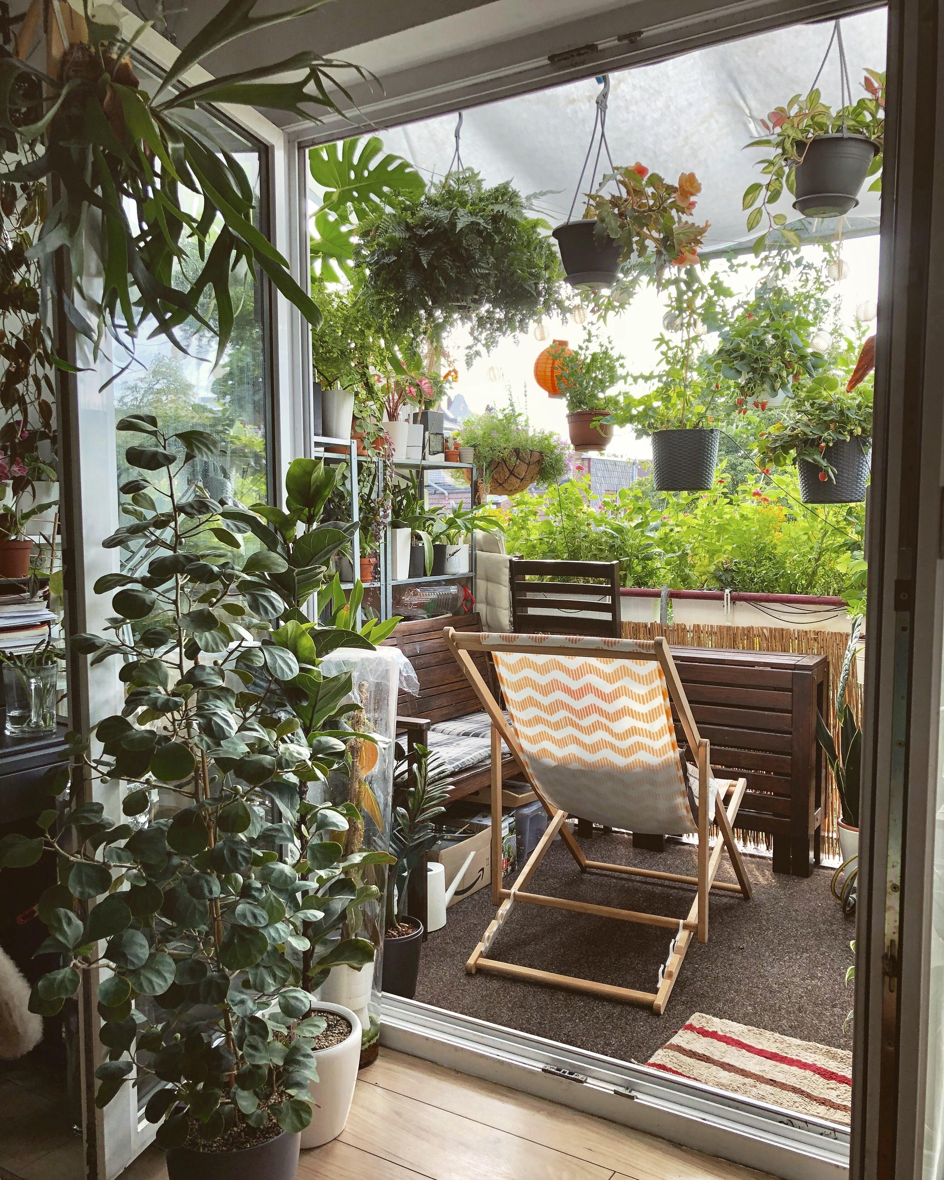 My balcony in Germany (xpost from /r/gardening) r/CozyPlaces
