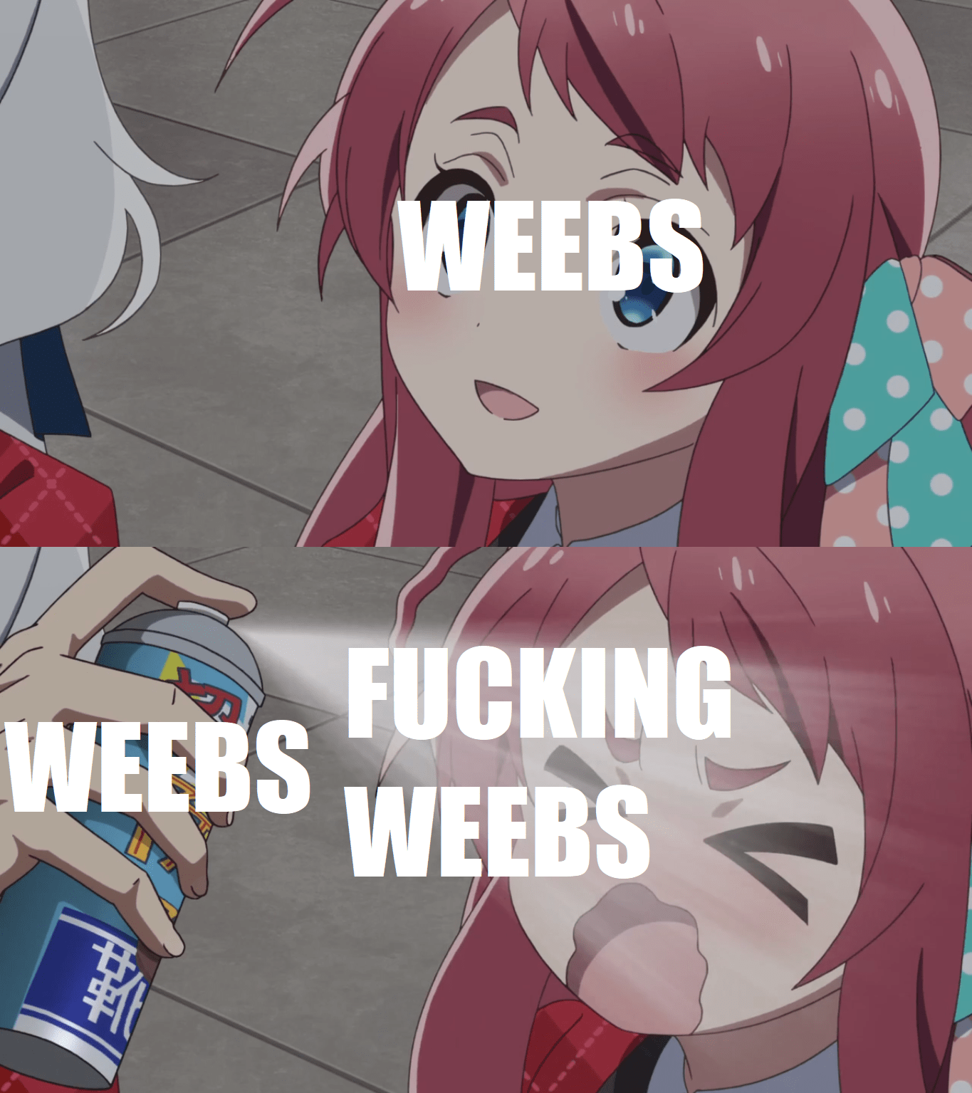 No one calls weebs weebs more than weebs r/Animemes