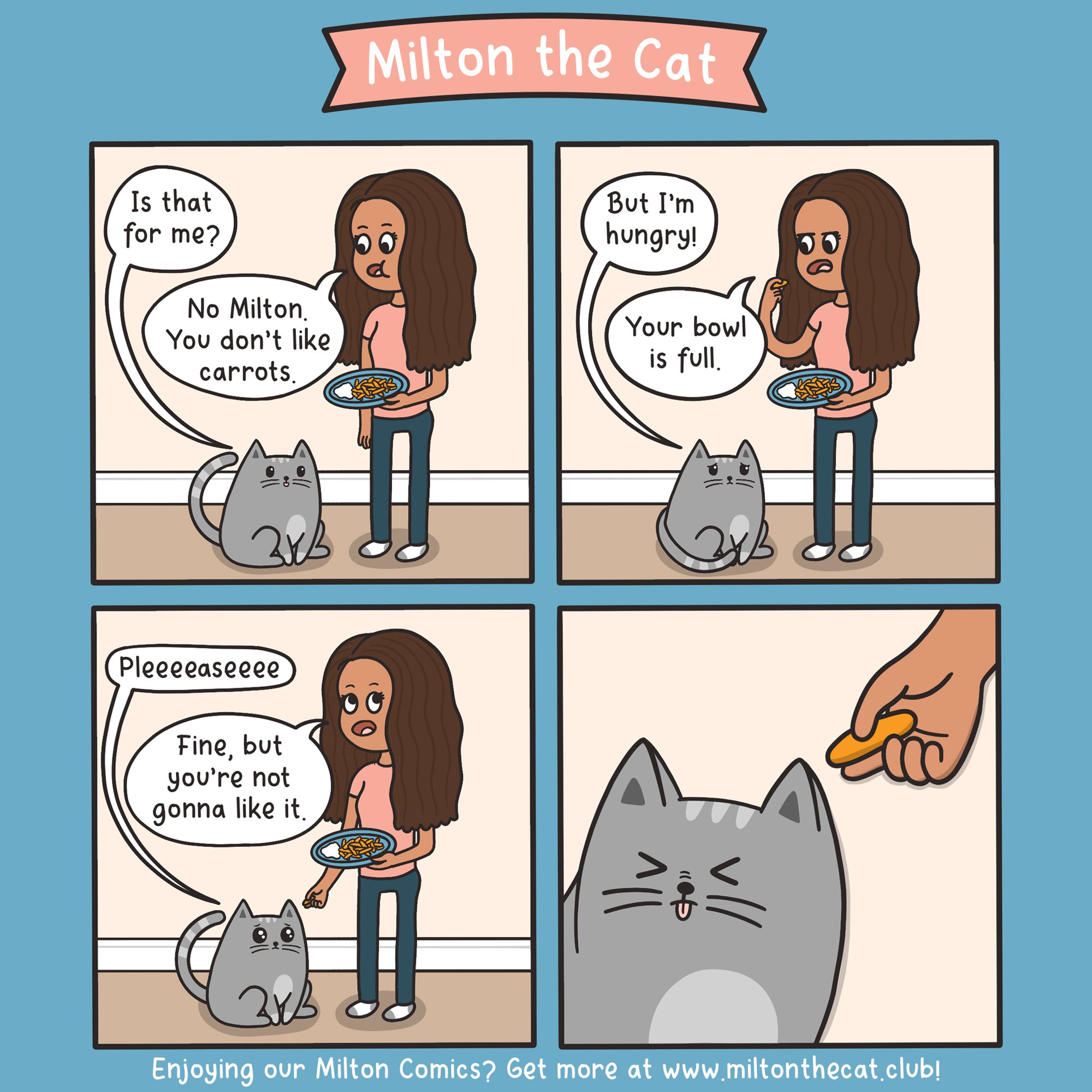 Thats one picky cat! r/funny