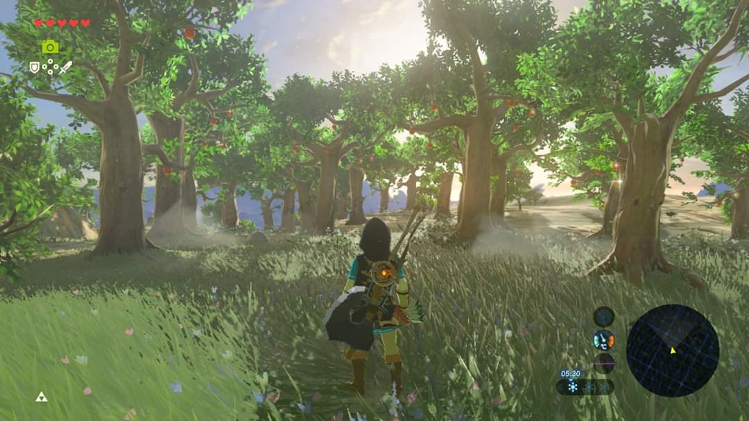 [BoTW] In another edition of finding new things in Breath of the Wild