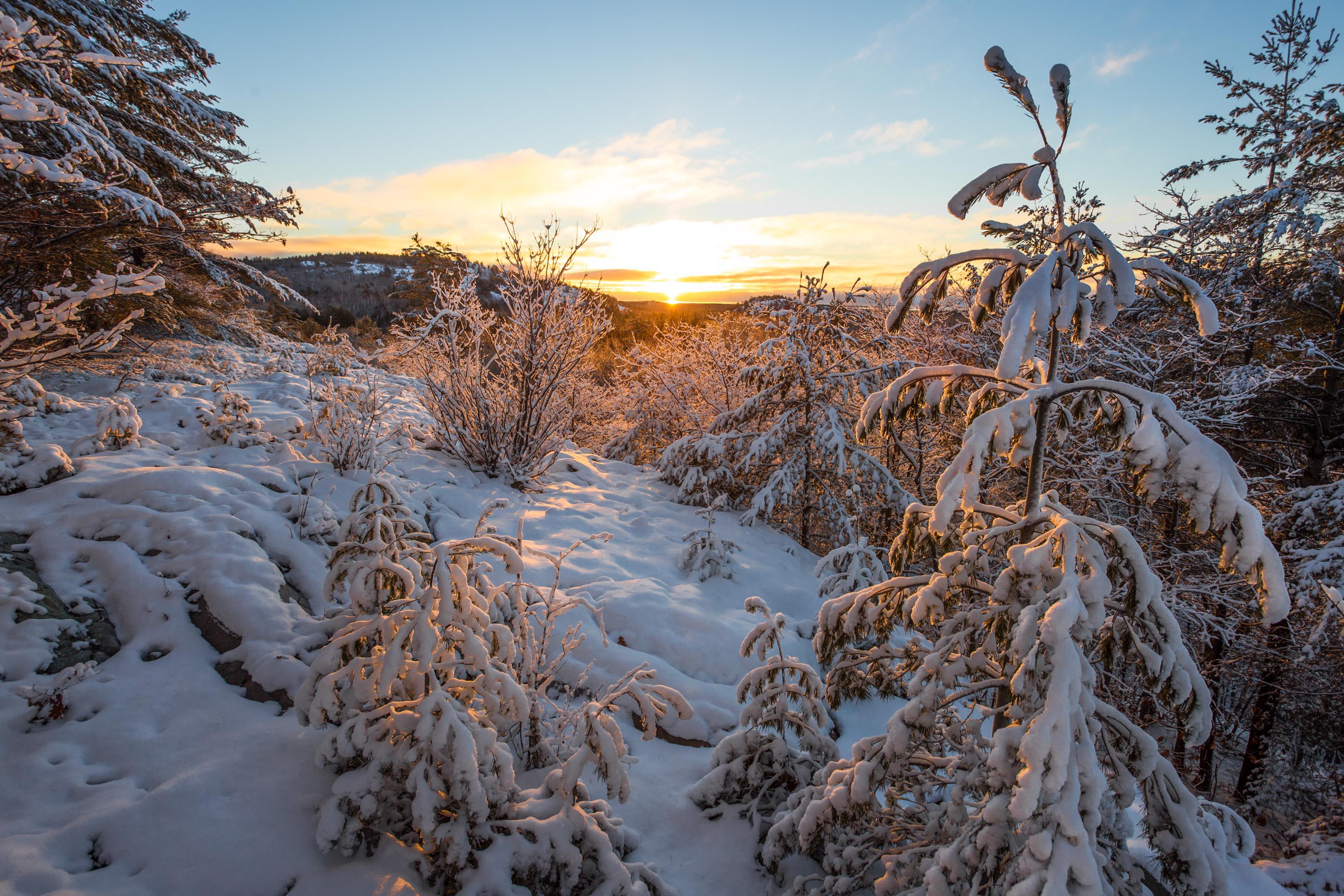 Sunrises over the Ontario backcountry [OC] r/winterporn