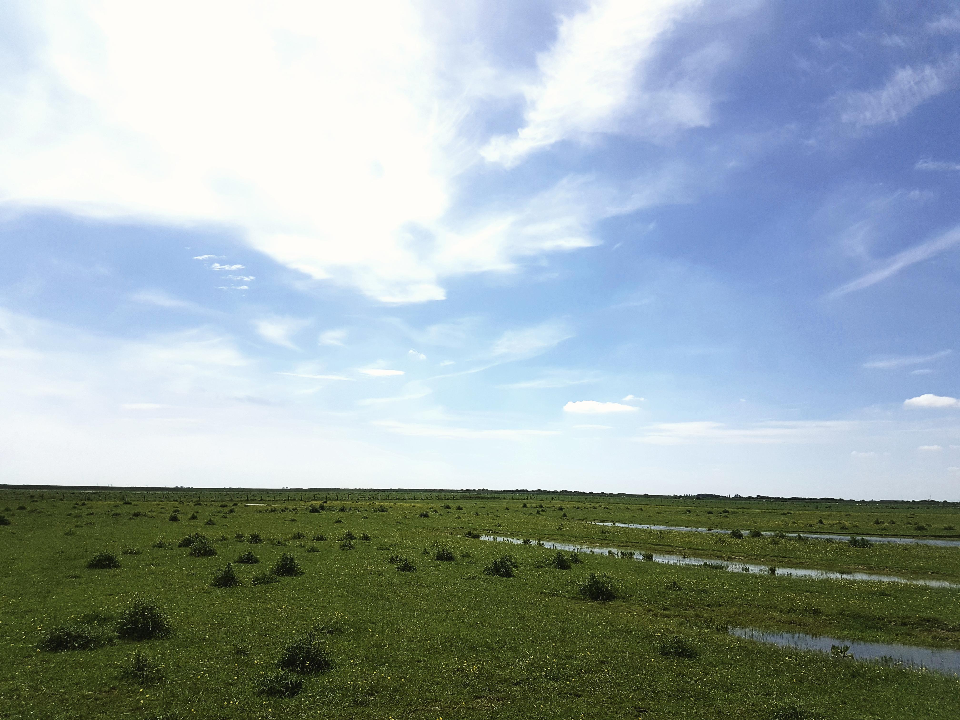 Frampton Nature Reserve, Boston, Lincolnshire [OC] [4032x3024] r/britpics