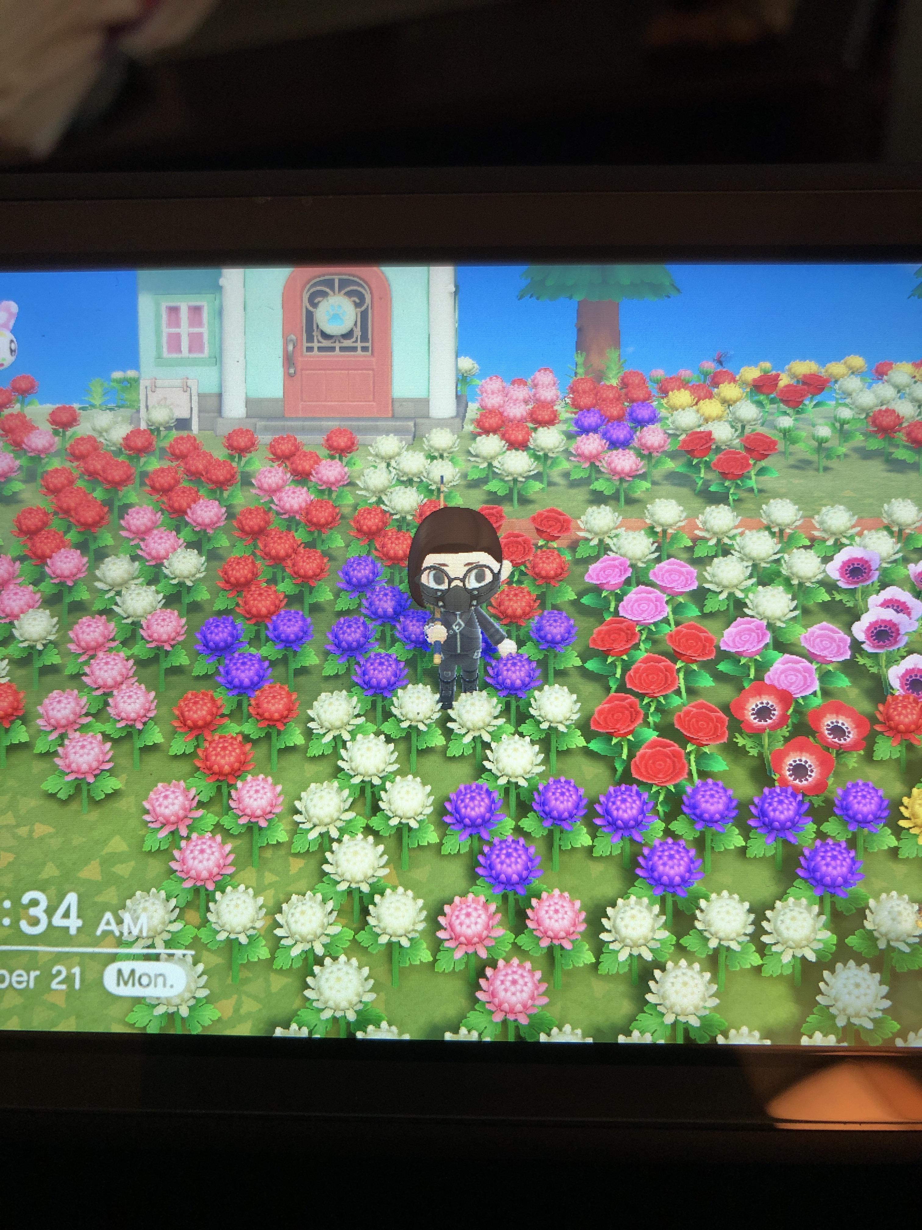 Little did I know, weeds wouldn’t be the only problem with taking a