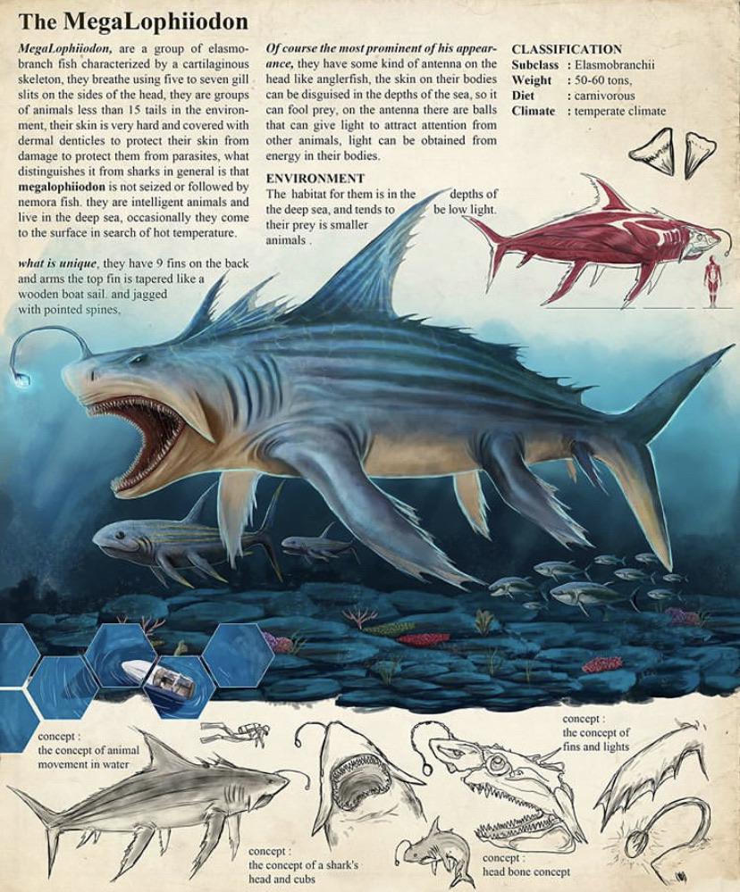 Found this great Instagram account that posts lots of images like this