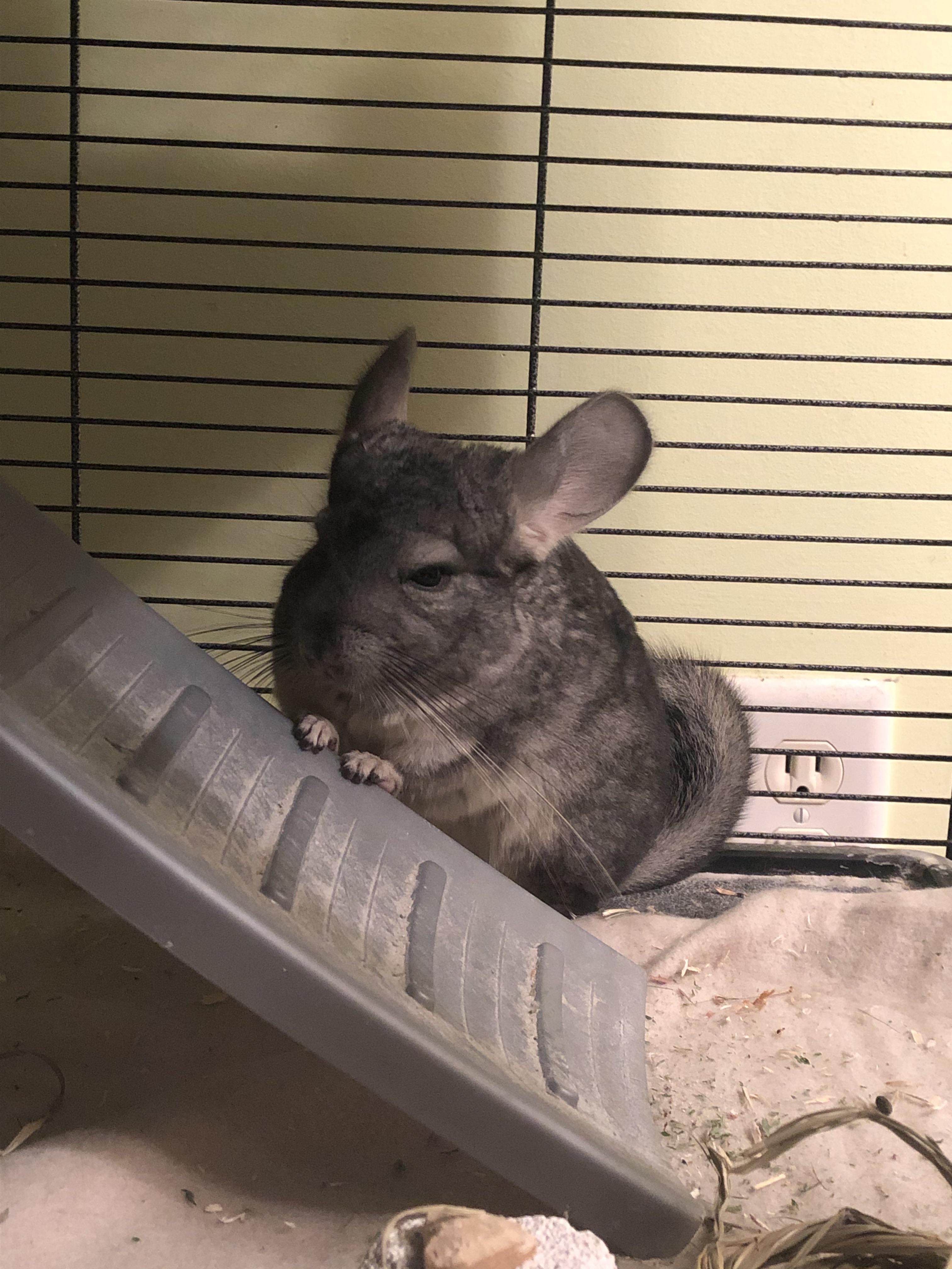 I know this might be a stupid question but here it goes anyways, I’m