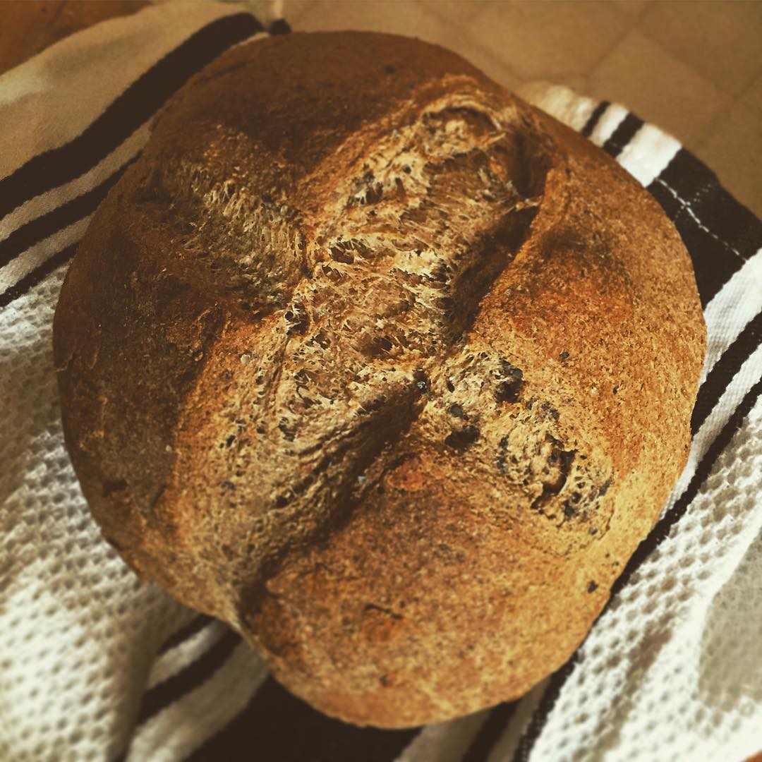 Whole wheat flax seed loaf, ate it in one afternoon at the park! r